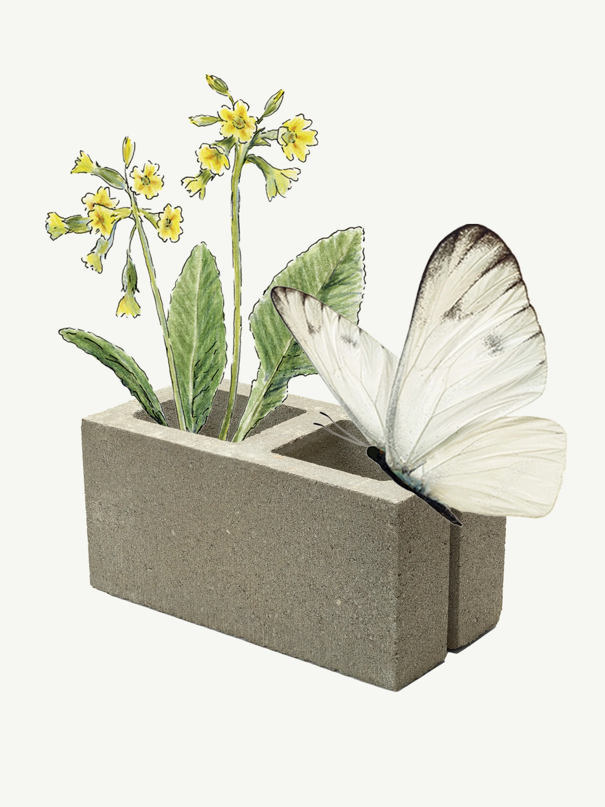 Biofarm BNG Breeze Block Flowers Butterfly Collage