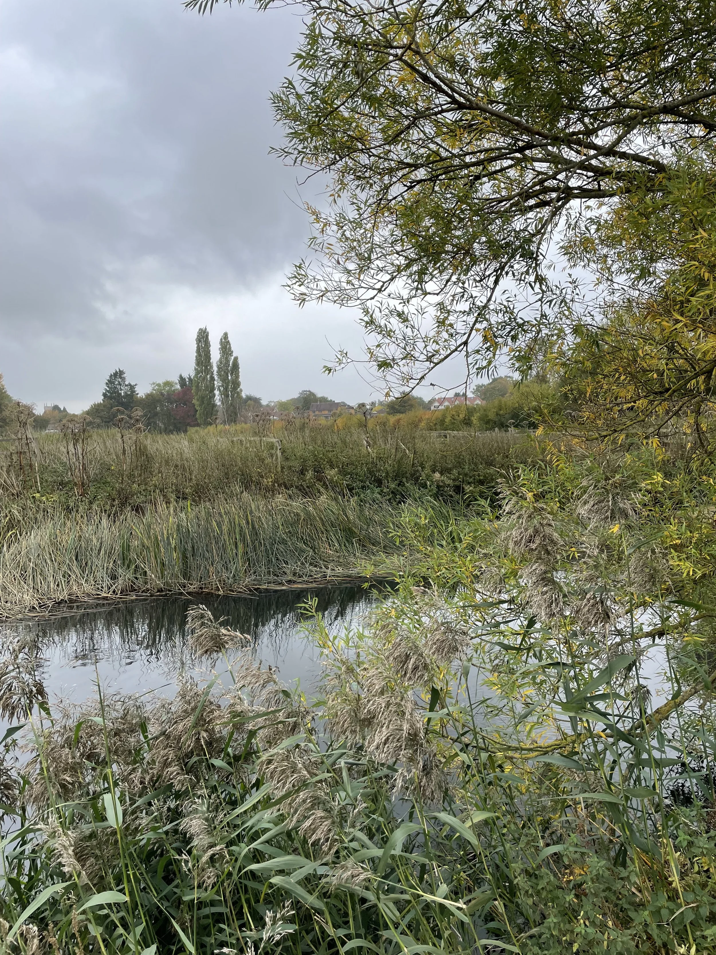 Biofarm fully registered BNG habitat bank in Stratford-upon-Avon
