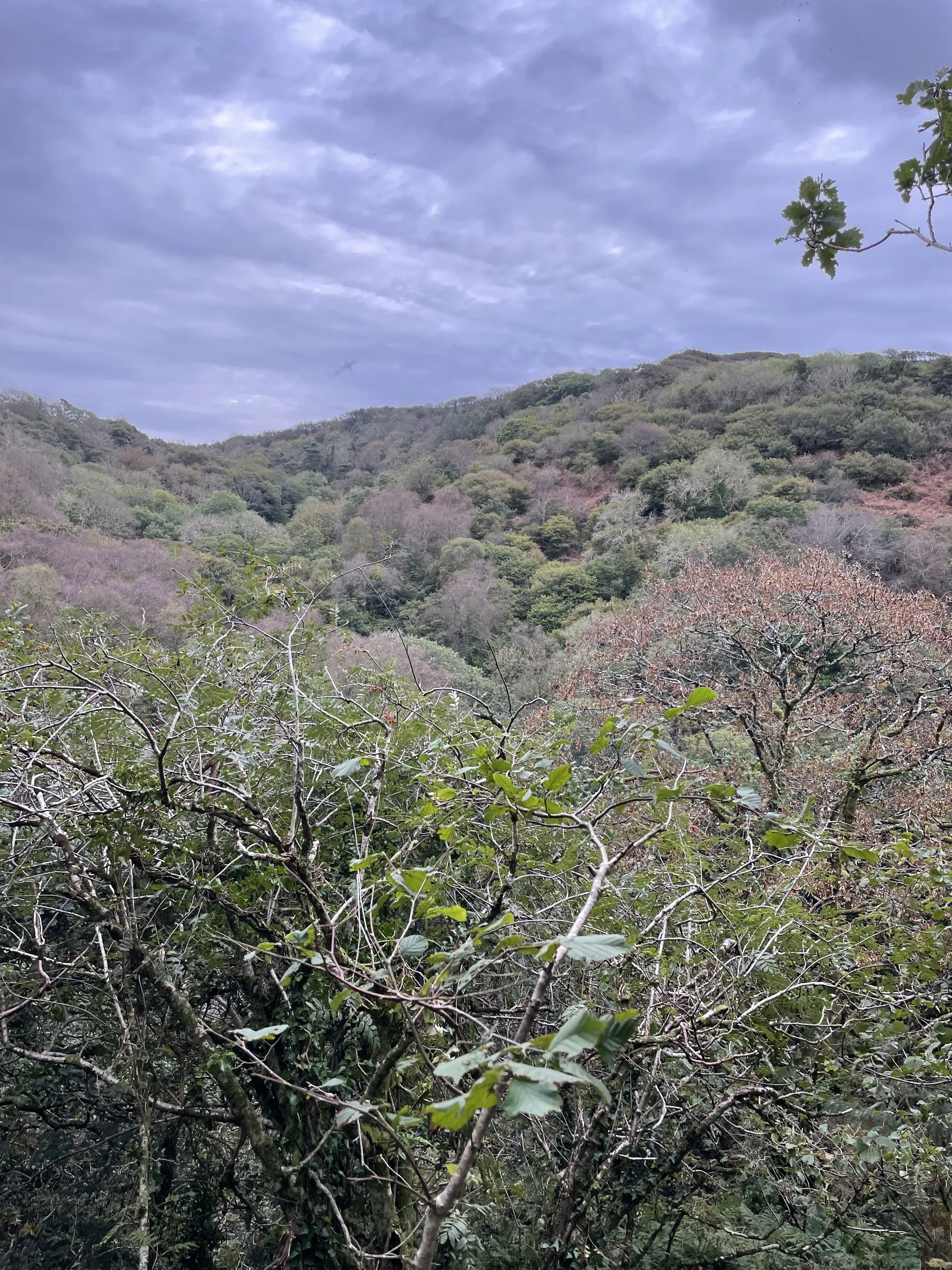 Biofarm opens fully registered BNG habitat site in Cornwall