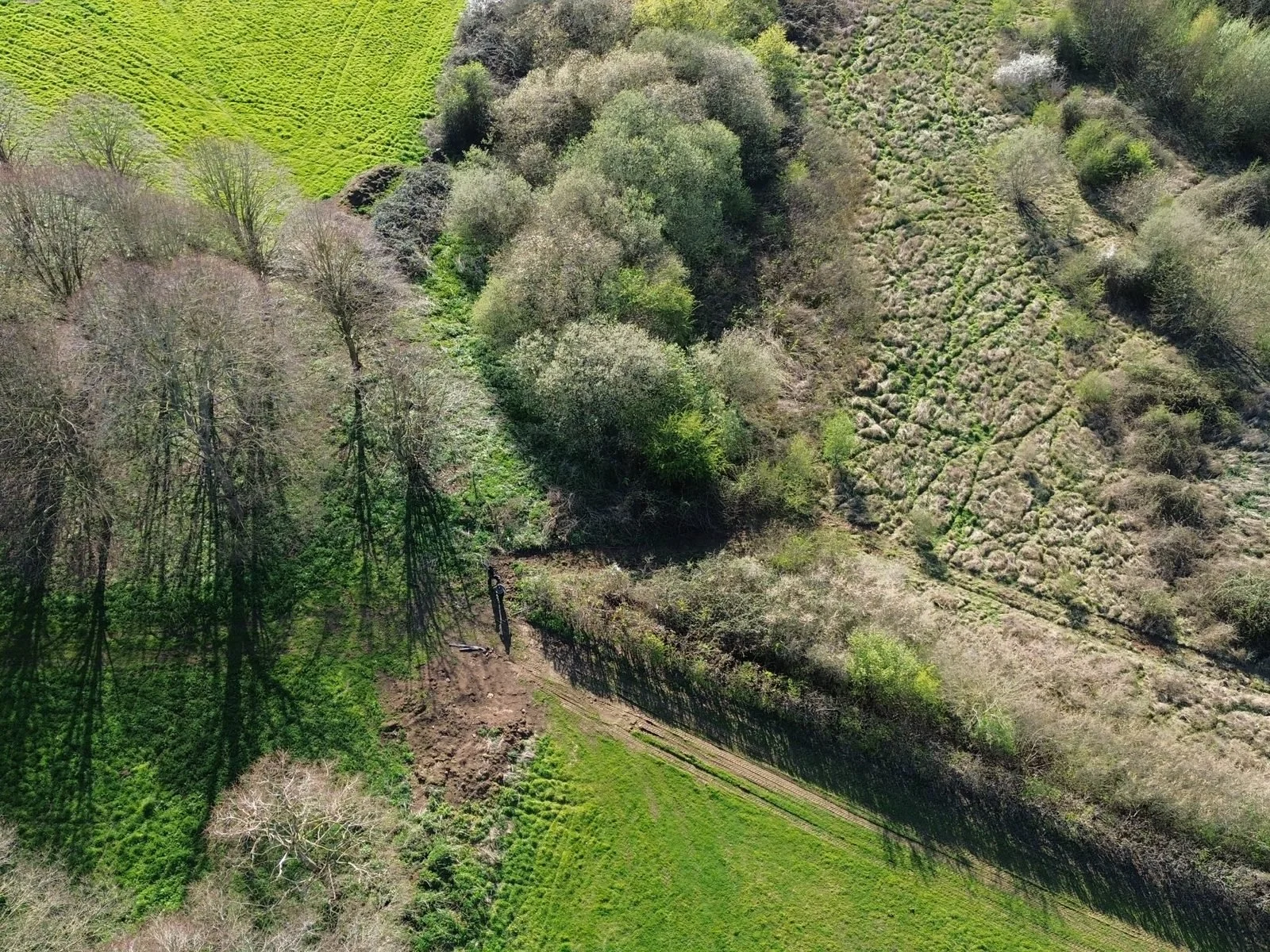 Aerial view of establishing scrub, rides and hedgerows at Rycote Farm