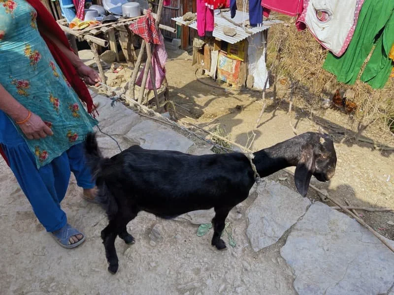 Nepal 4.jpg