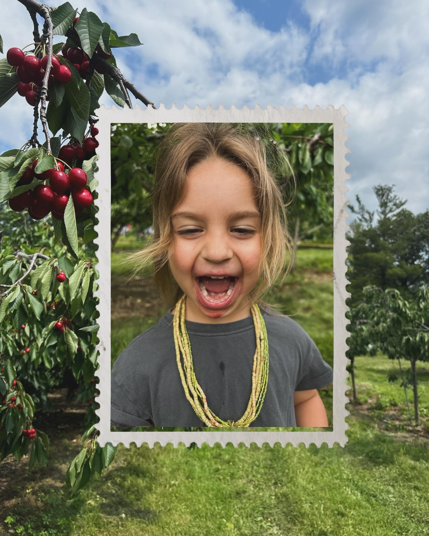 What a GREAT opening day! Big thanks to everyone who made a visit to pick cherries! 

If you didn&rsquo;t make it, don&rsquo;t worry!  We&rsquo;ll be open EVERY DAY from 8-5! Be sure to come on out this weekend! ☀️🍒
.
.
.
#fixbros #cherrypyo #sweetc