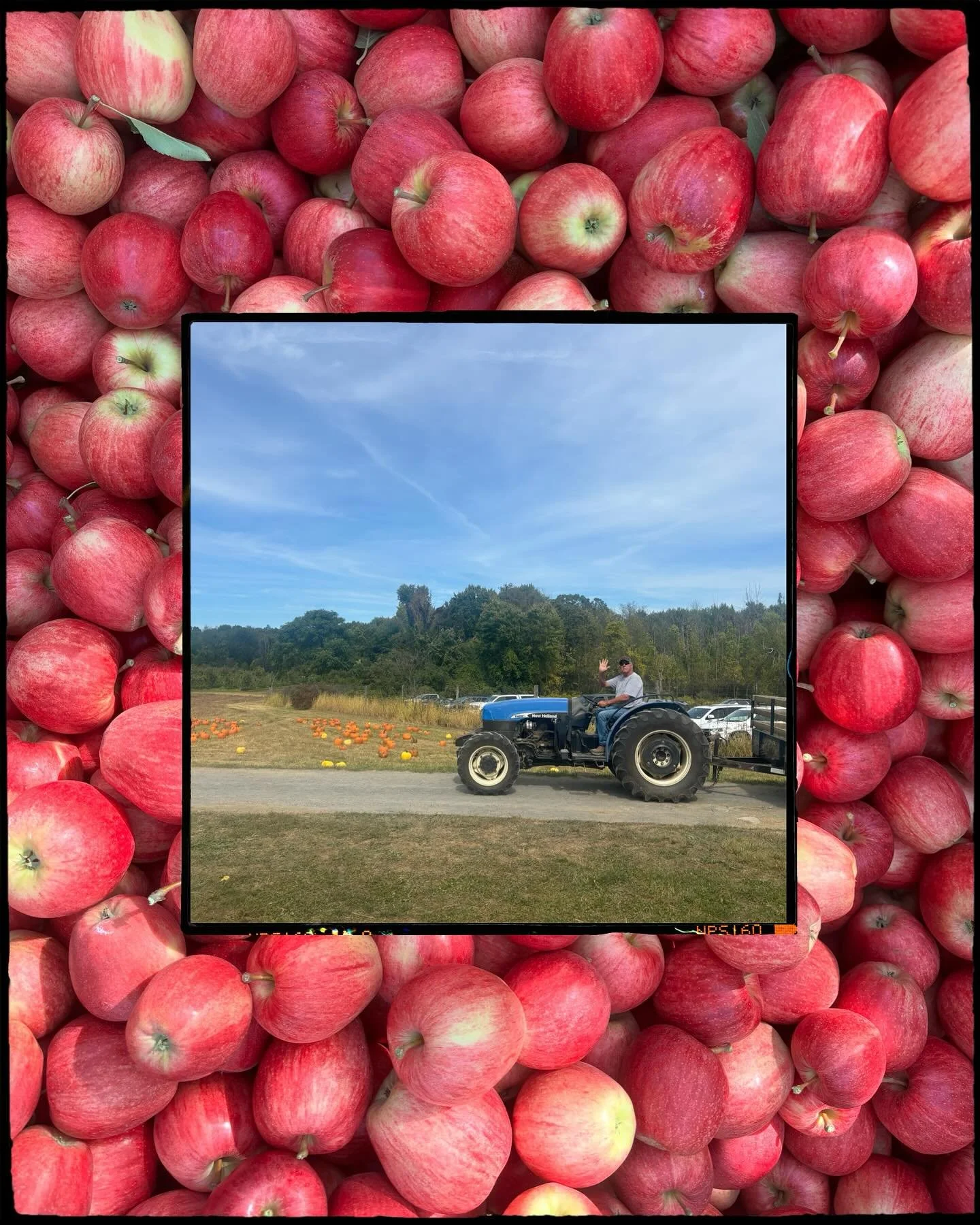 So much fun this past week at Fix Farm!  Thank you to all who came out to pick apples. 

Just a reminder we are closed on Mondays &amp; Tuesdays.  We will see you on Wednesday. 

🍏Orchard Hours: 10-5 

🍎 $1.50/lb 🎃 .50/lb 
(Cash or check only.) 
.