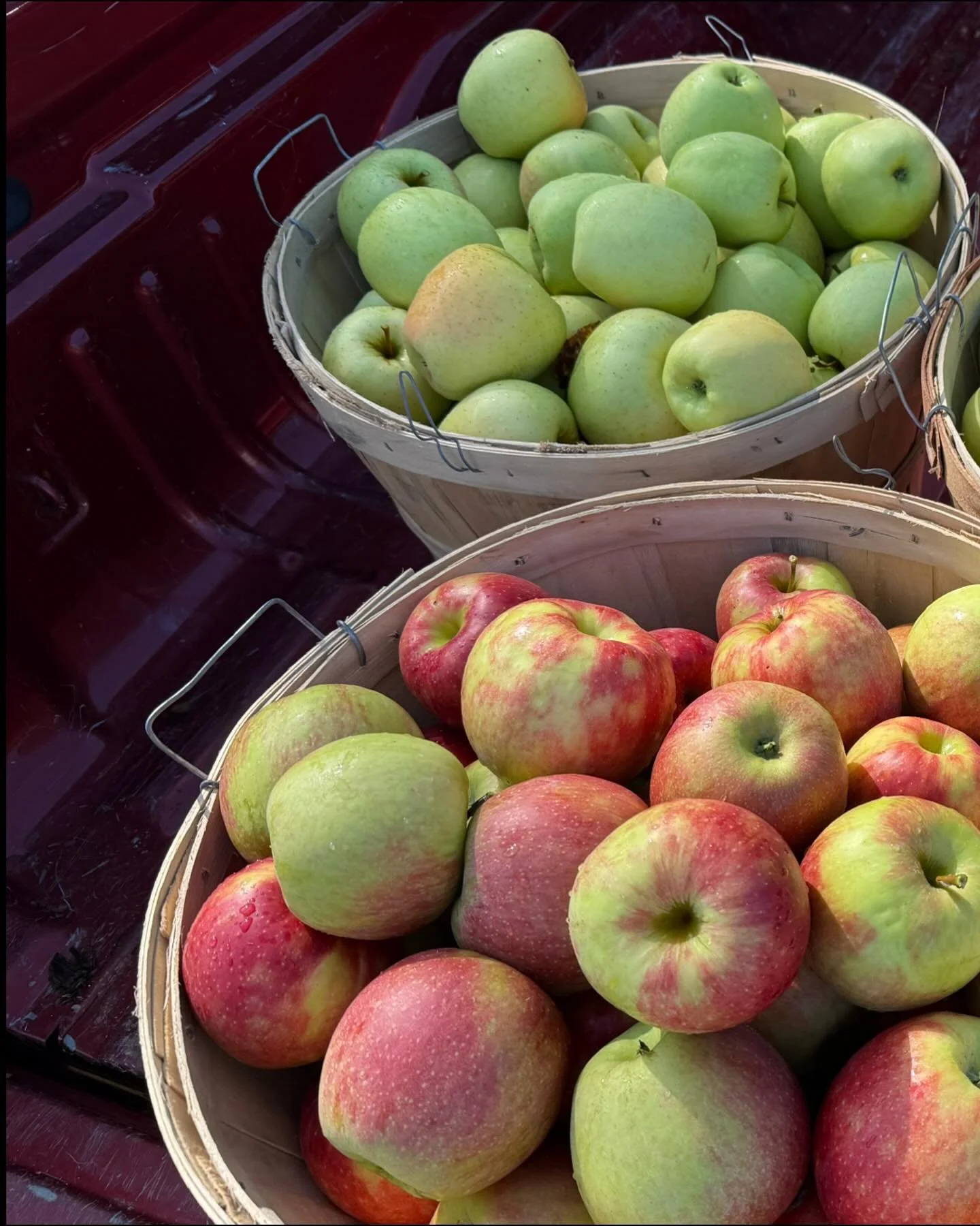 The rain has cleared out and we&rsquo;re looking to have another BEAUTIFUL weekend for apple picking! 

Apples available for picking: 

🍎 Ruby Rush
🍏 Ambrosia
🍎 Autumn Crisp 
🍏 Crimson Crisp
🍎 Fortune 
🍏 Jonagold 
🍎 Red Ruben 
🍏 Macoun 
🍎 Co