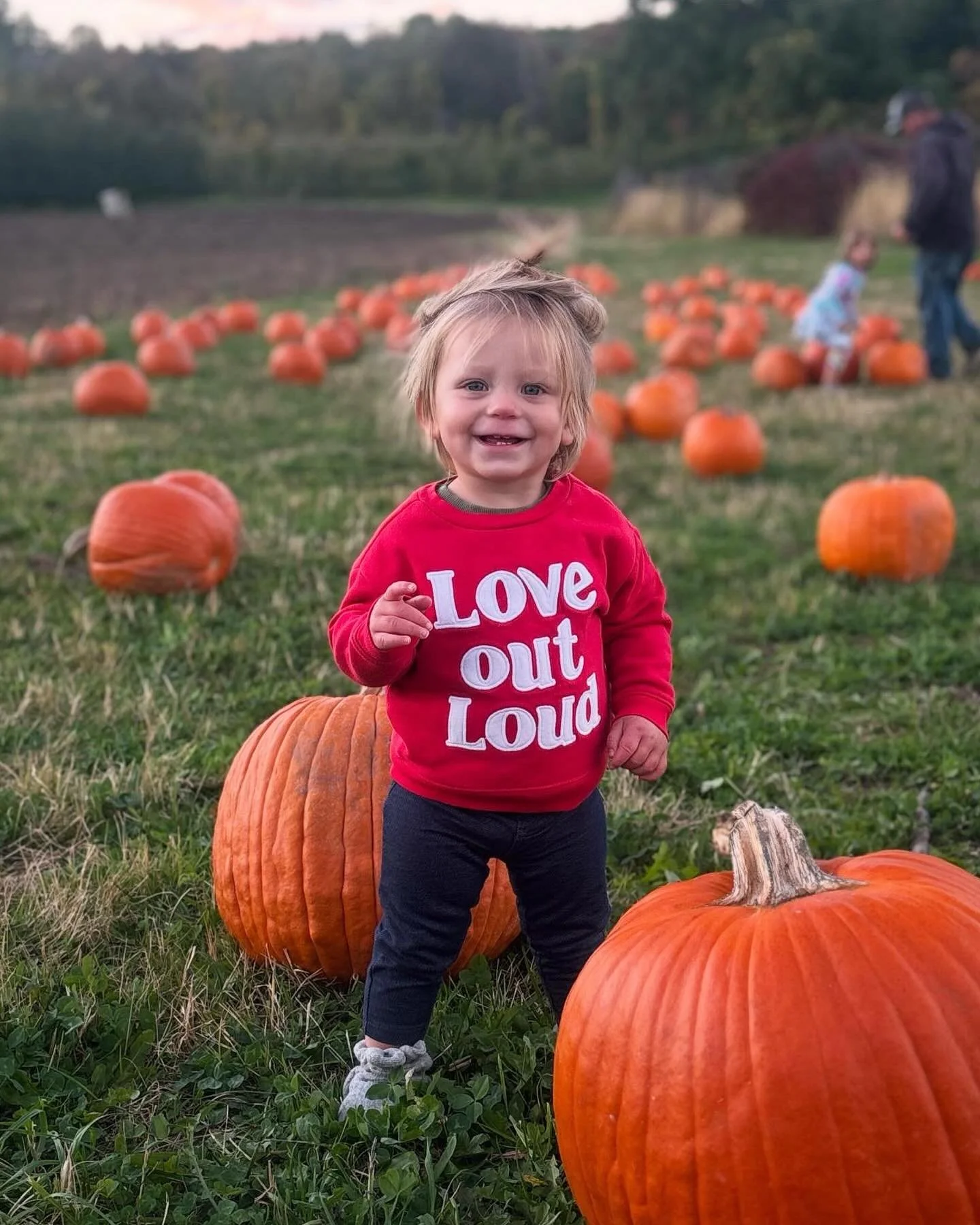 LAST WEEKEND OPEN FOR PYO APPLES! 📣 Last call for apples and pumpkins!!! Come on out this weekend for some family fun! We&rsquo;ll be in the orchard from 10-5! 

✨All varieties available! 

🍎 $1.50/lb 
🎃 .50/lb
.
.
.
#fixfarm #pyoapples #lastcall 