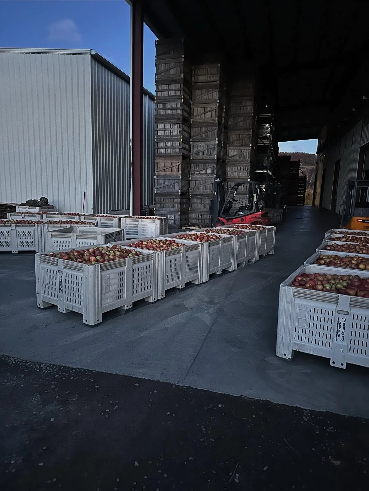 And that&rsquo;s a wrap folks!  Last of the apple harvest picked and into storage! 🍎
.
.
.
#appleseason2025 #fixfarm #evercrisp #appleharvest #thatsawrap #fixbrosfruitfarm #qualityfruitsince1899