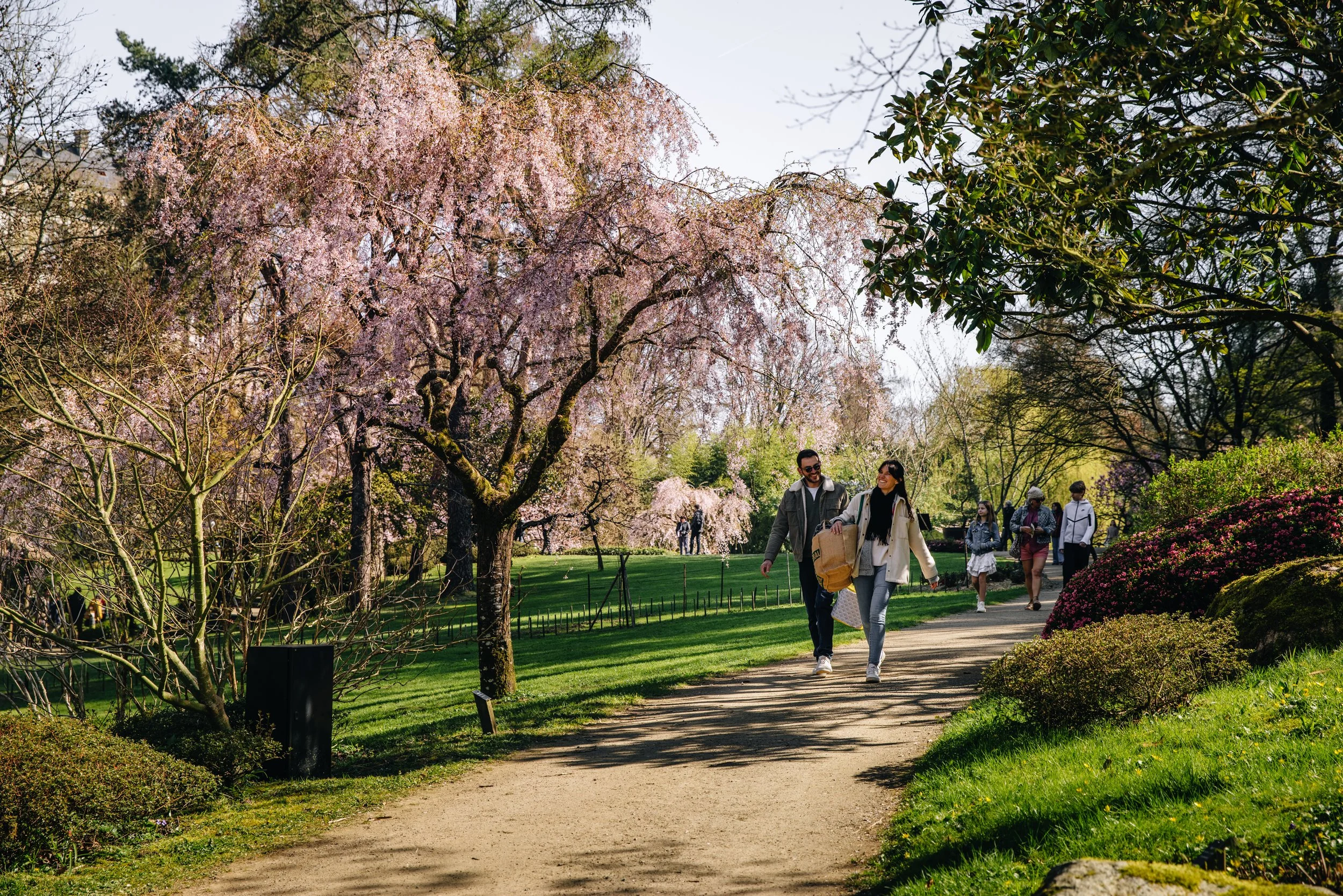 Parc Oriental Hanami - Arthur Aumond WEB-98.jpg