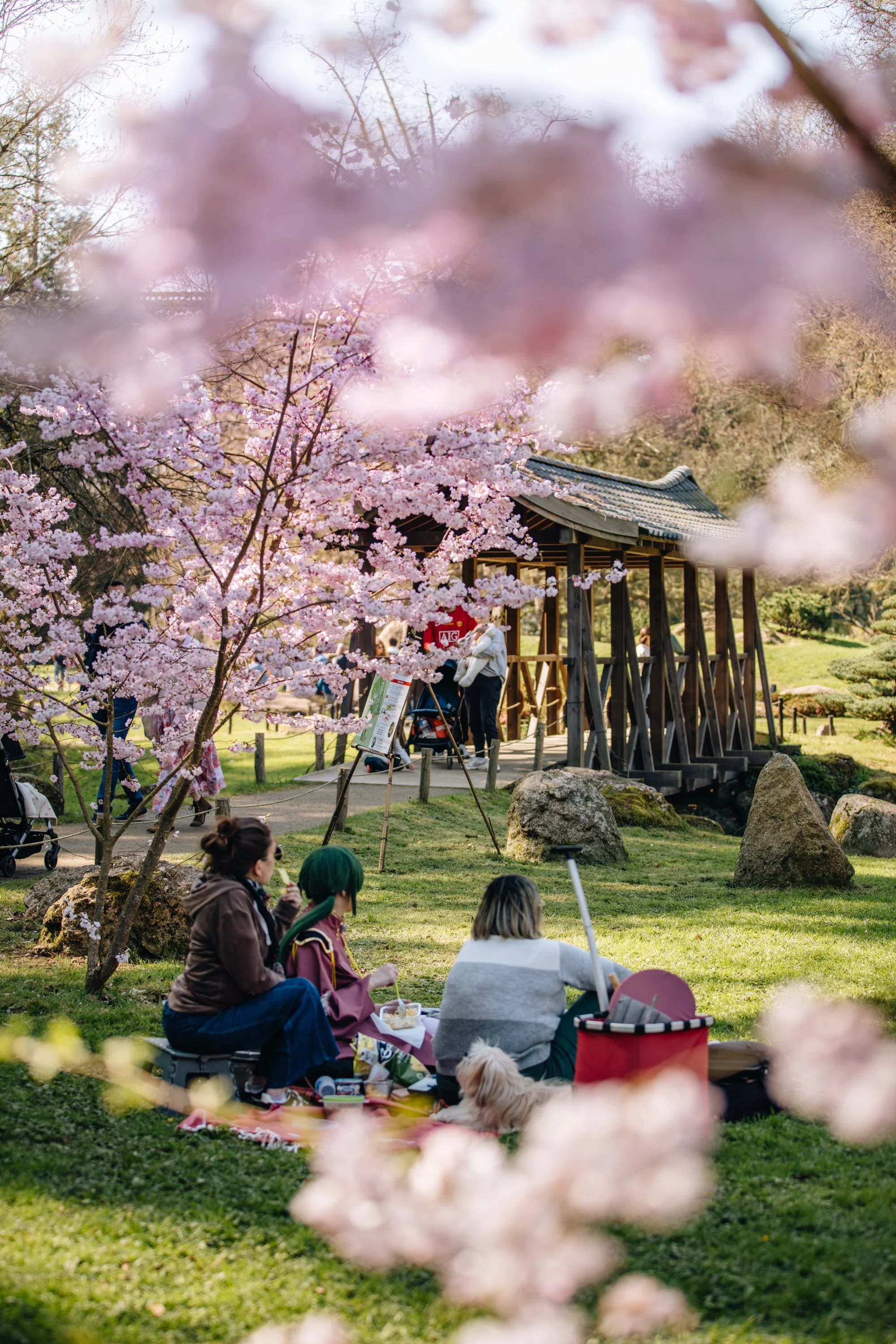Parc Oriental Hanami - Arthur Aumond WEB-128.jpg