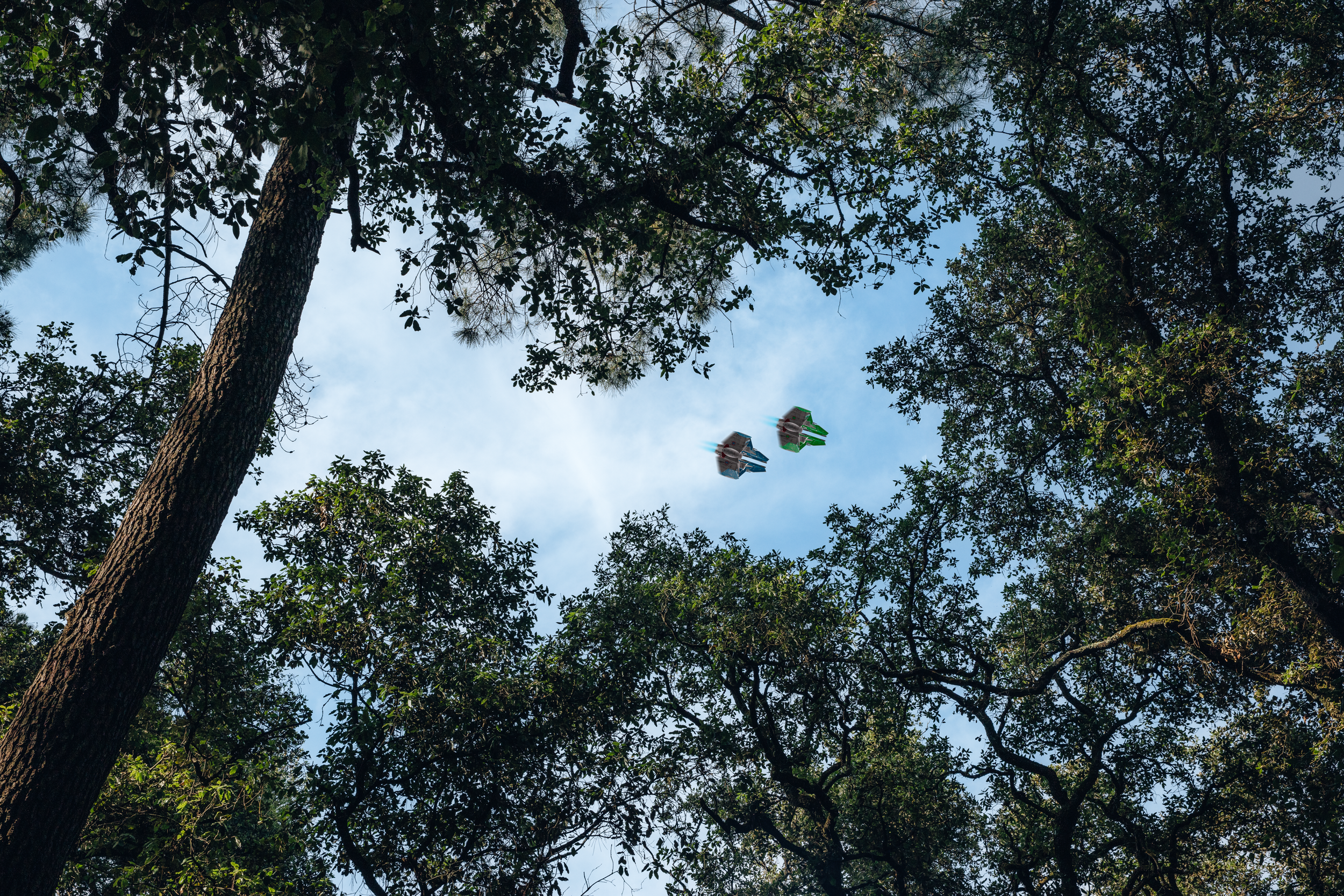 136A7281-Modifier-2.png