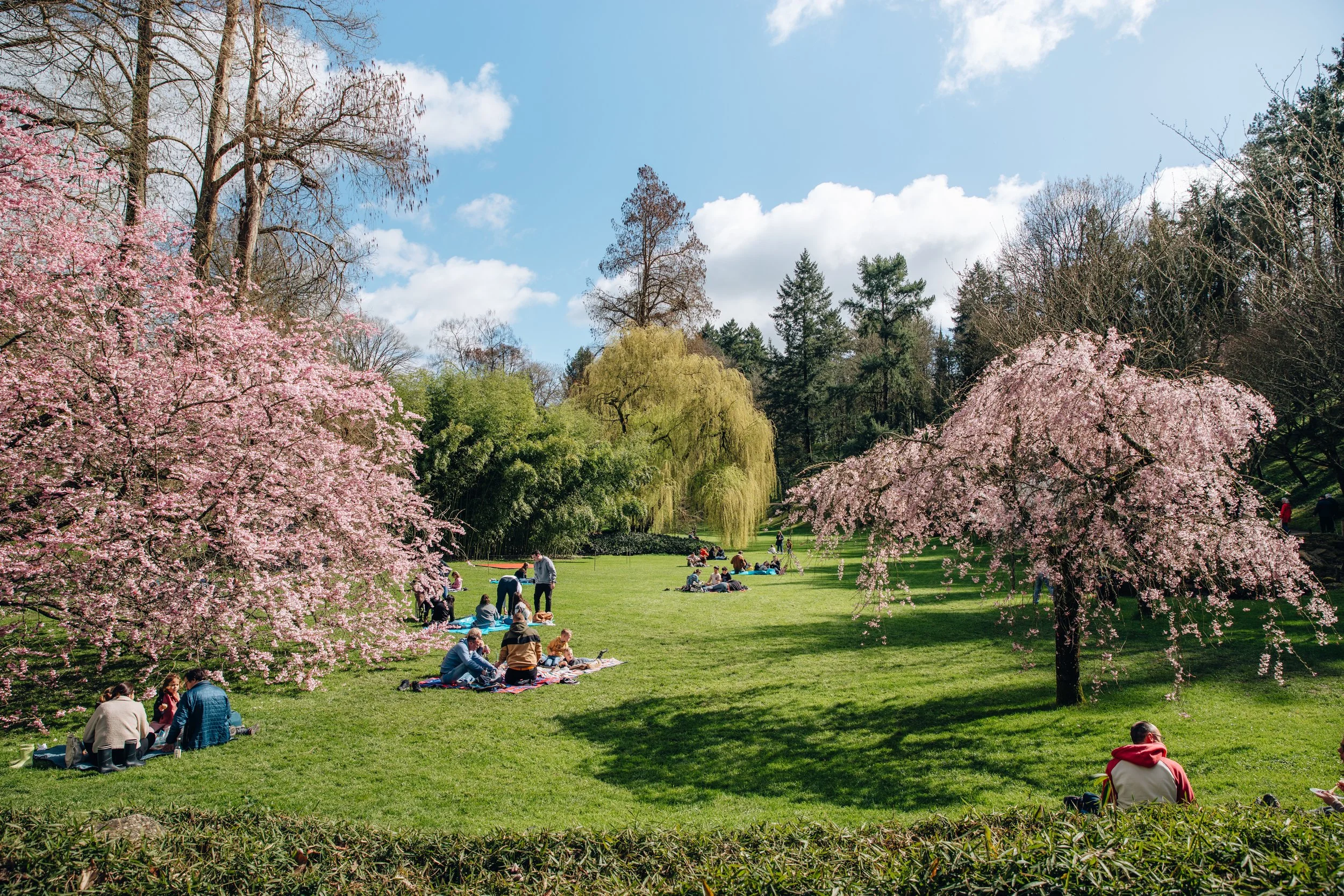 Parc Oriental Hanami - Arthur Aumond WEB-59.jpg