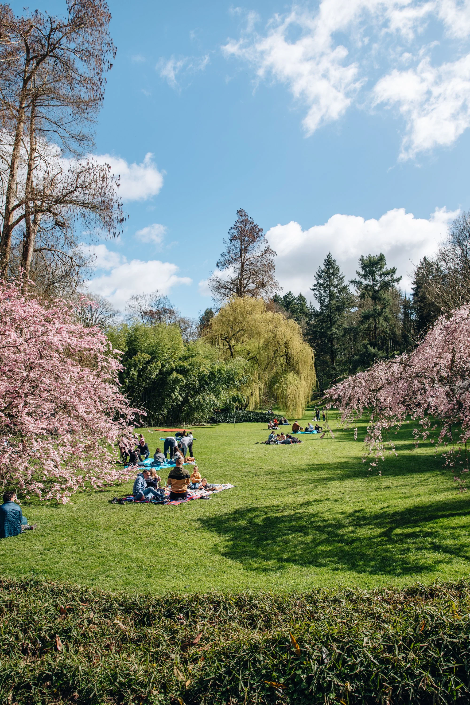 Parc Oriental de Maulévrier 2026