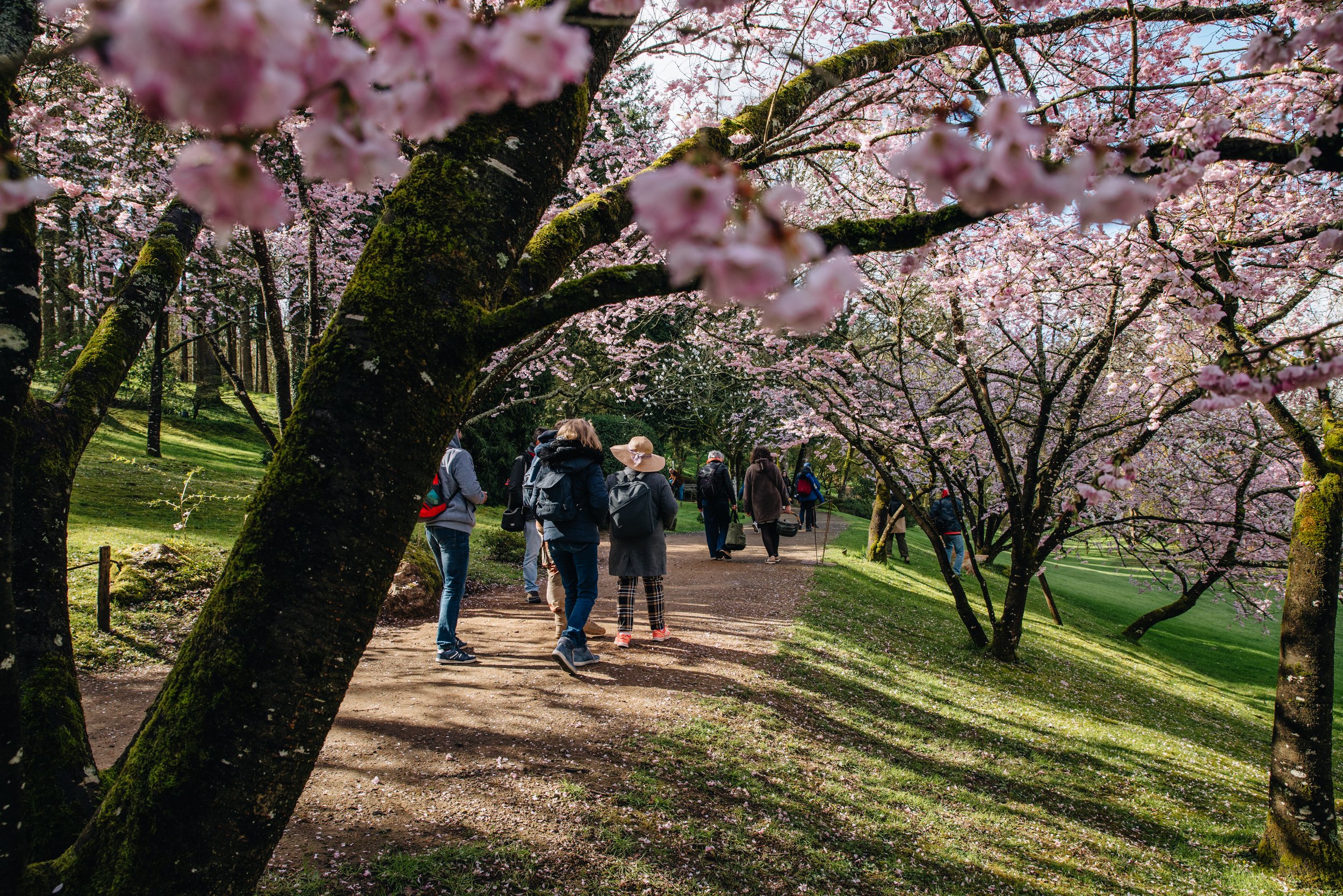 Parc Oriental Hanami - Arthur Aumond WEB-52.jpg