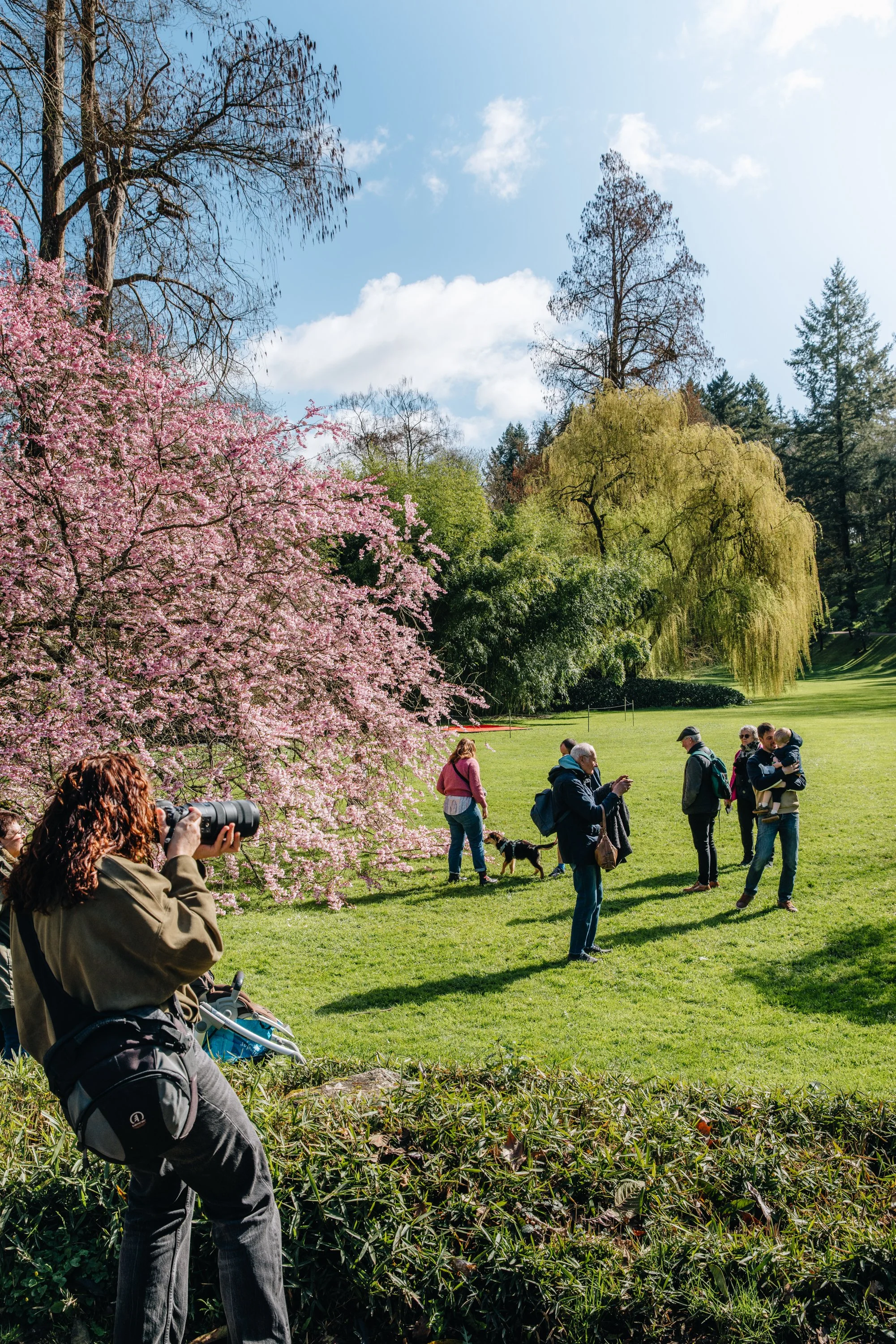 Parc Oriental Hanami - Arthur Aumond WEB-38.jpg