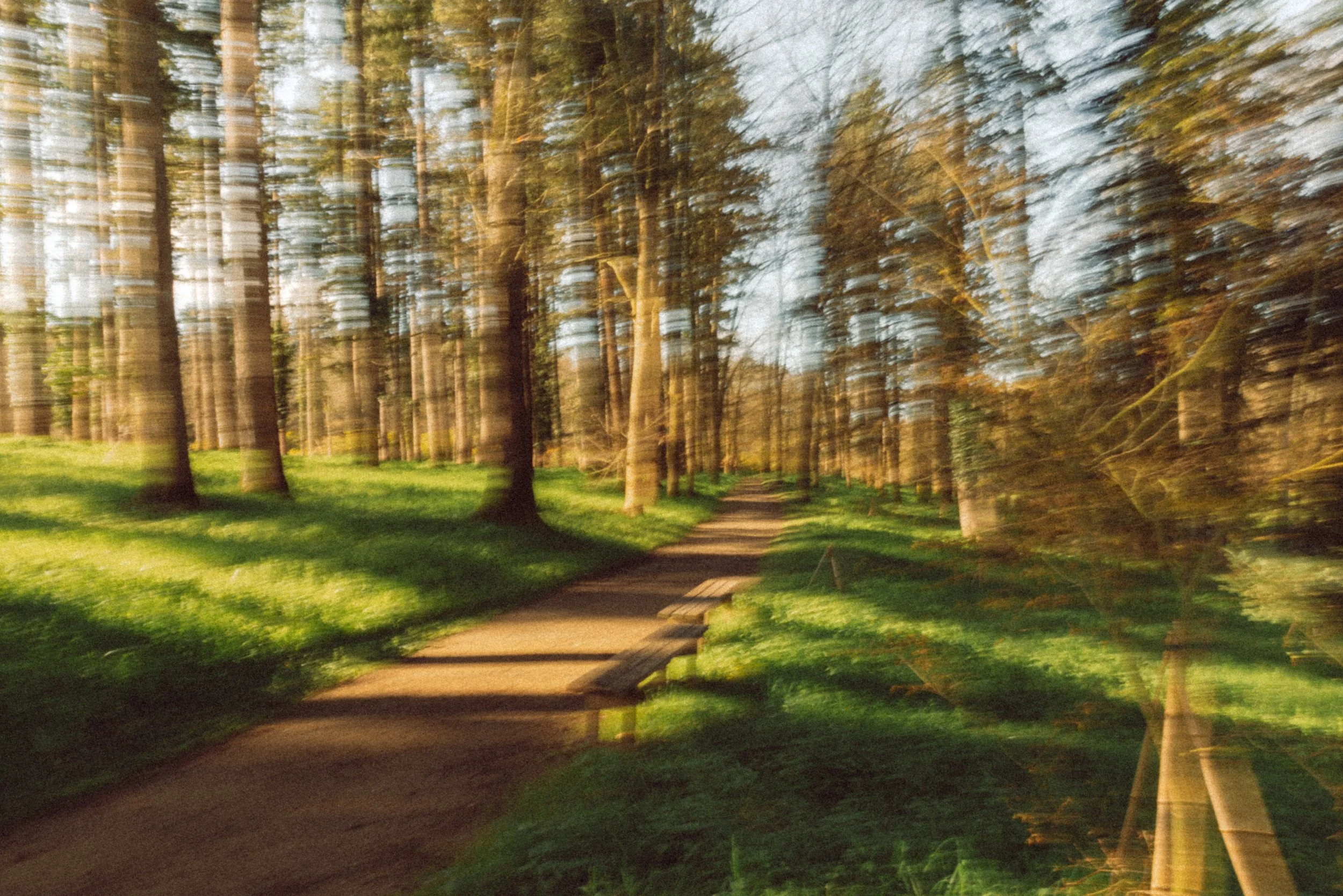 Parc Oriental Hanami - Arthur Aumond WEB-26.jpg