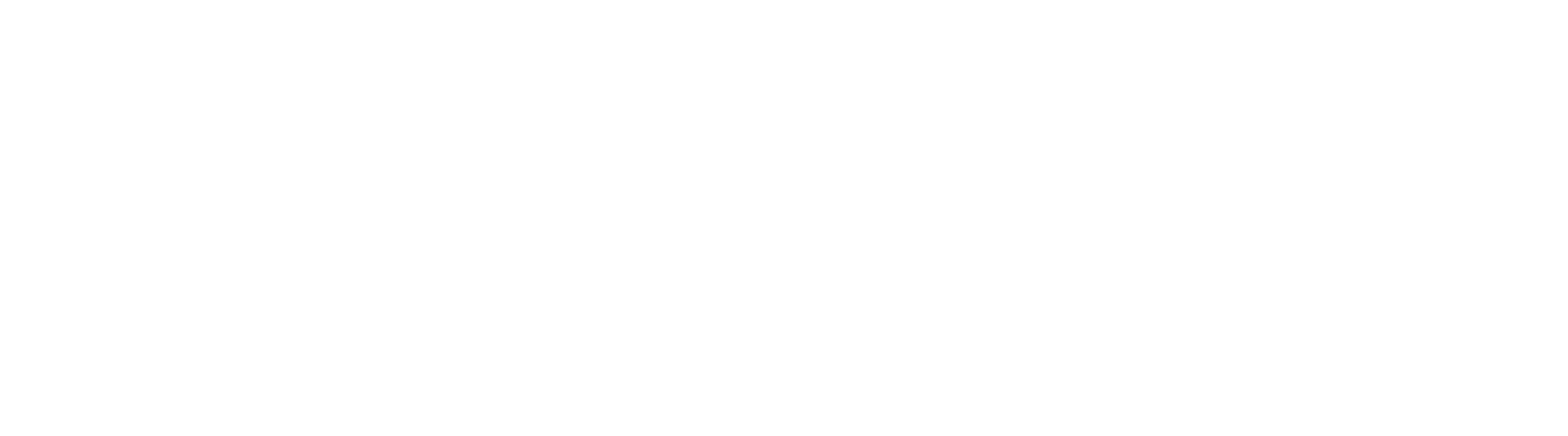 Alabma beer company