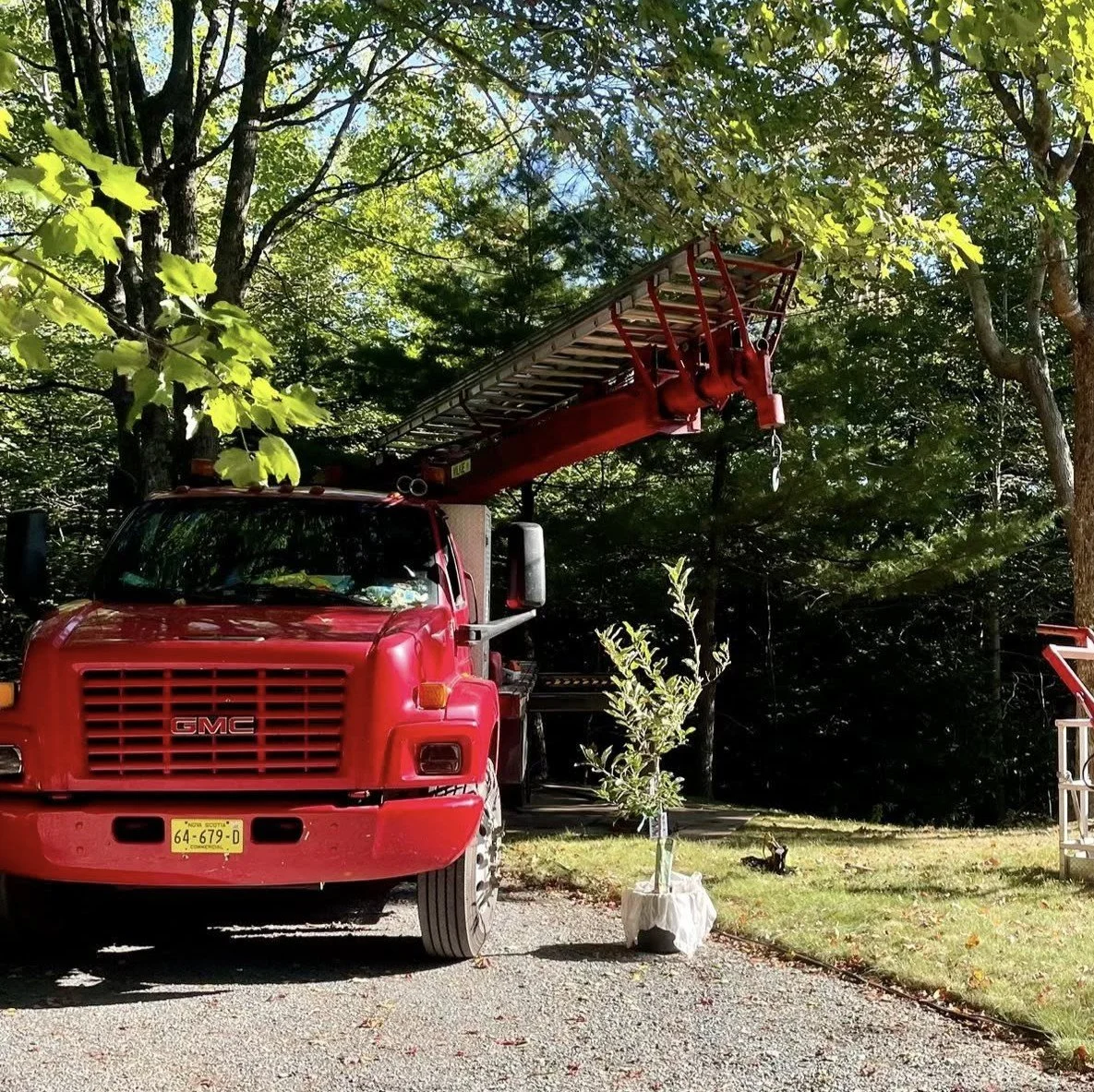 Book Truck.jpg