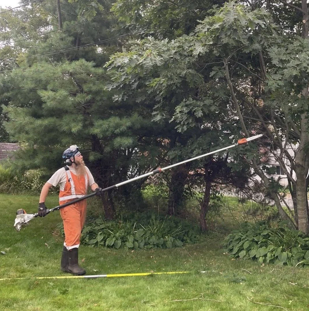 trimming.jpg