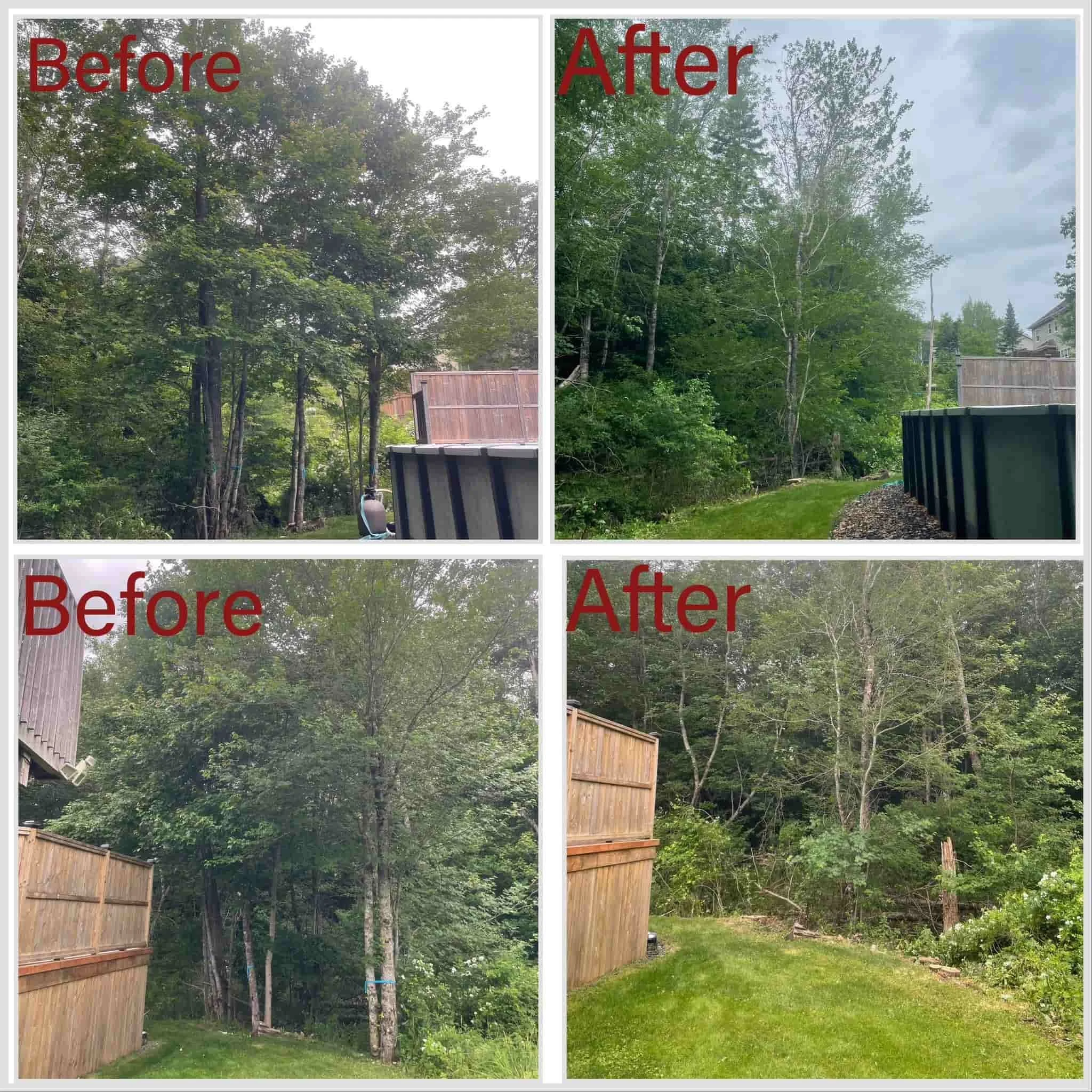 before+and+after_compressed (1).jpg