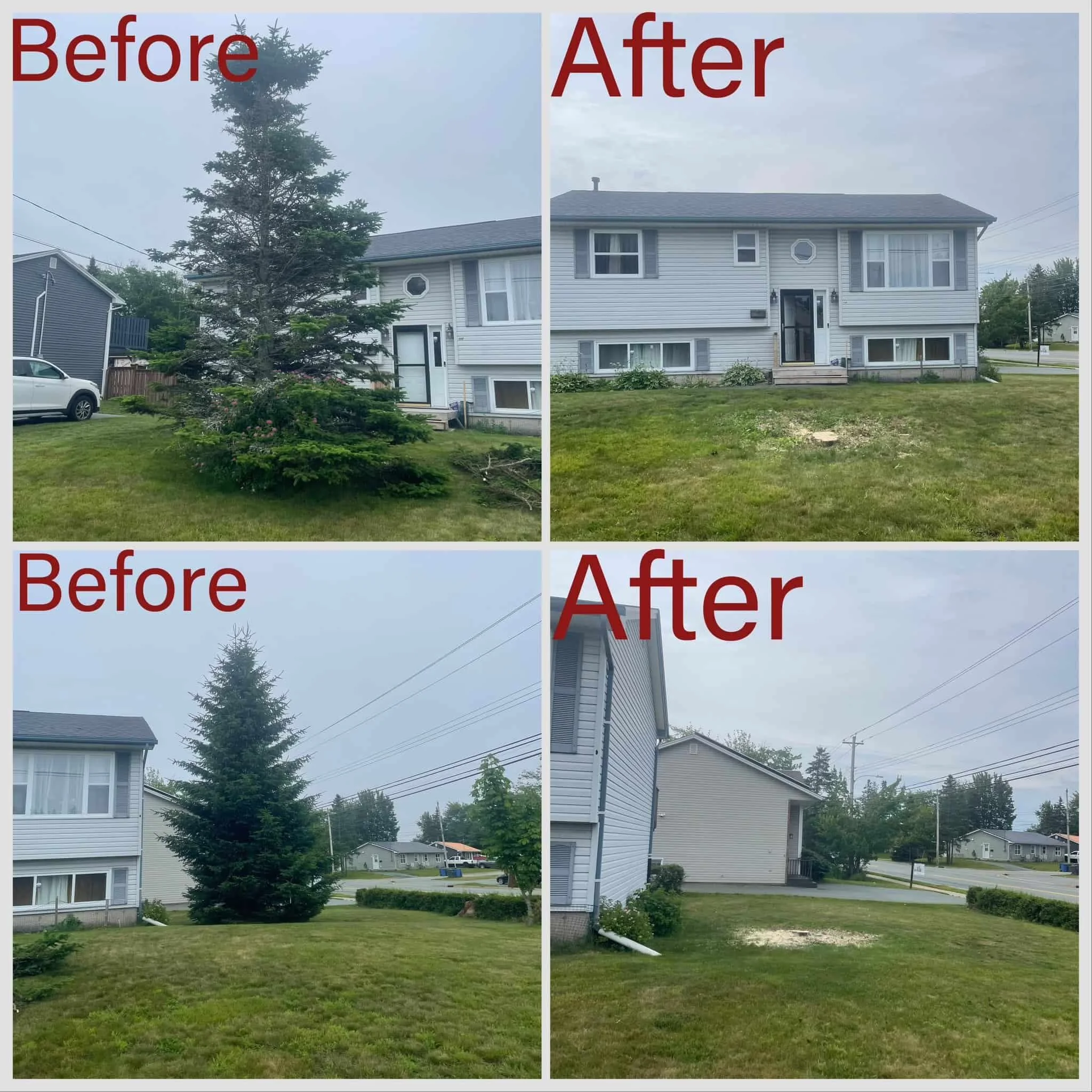 before+and+after_compressed (2).jpg