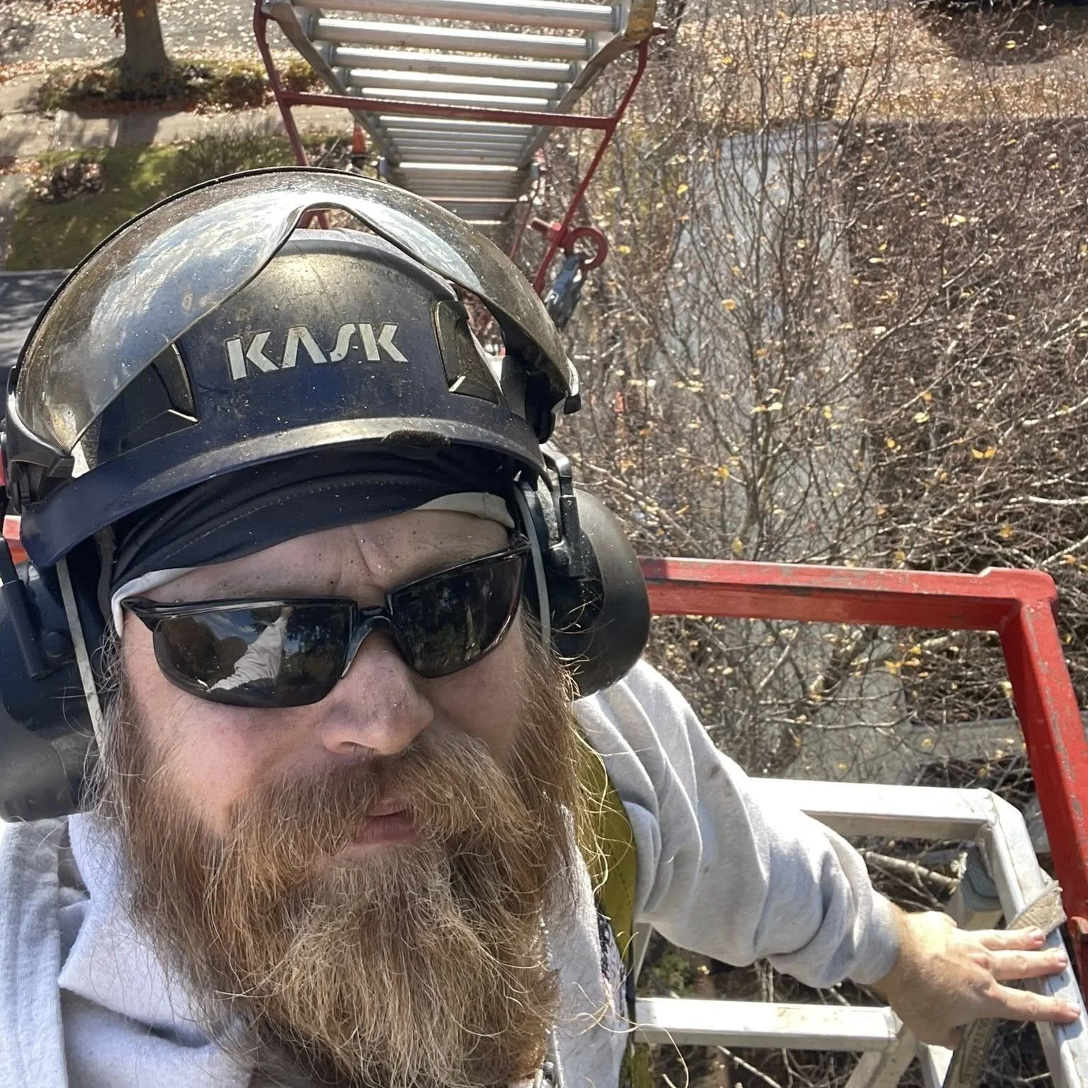 A man with a long beard wearing a KASK helmet, sunglasses, and headphones, taking a selfie while on a ladder outdoors with leafless trees in the background.