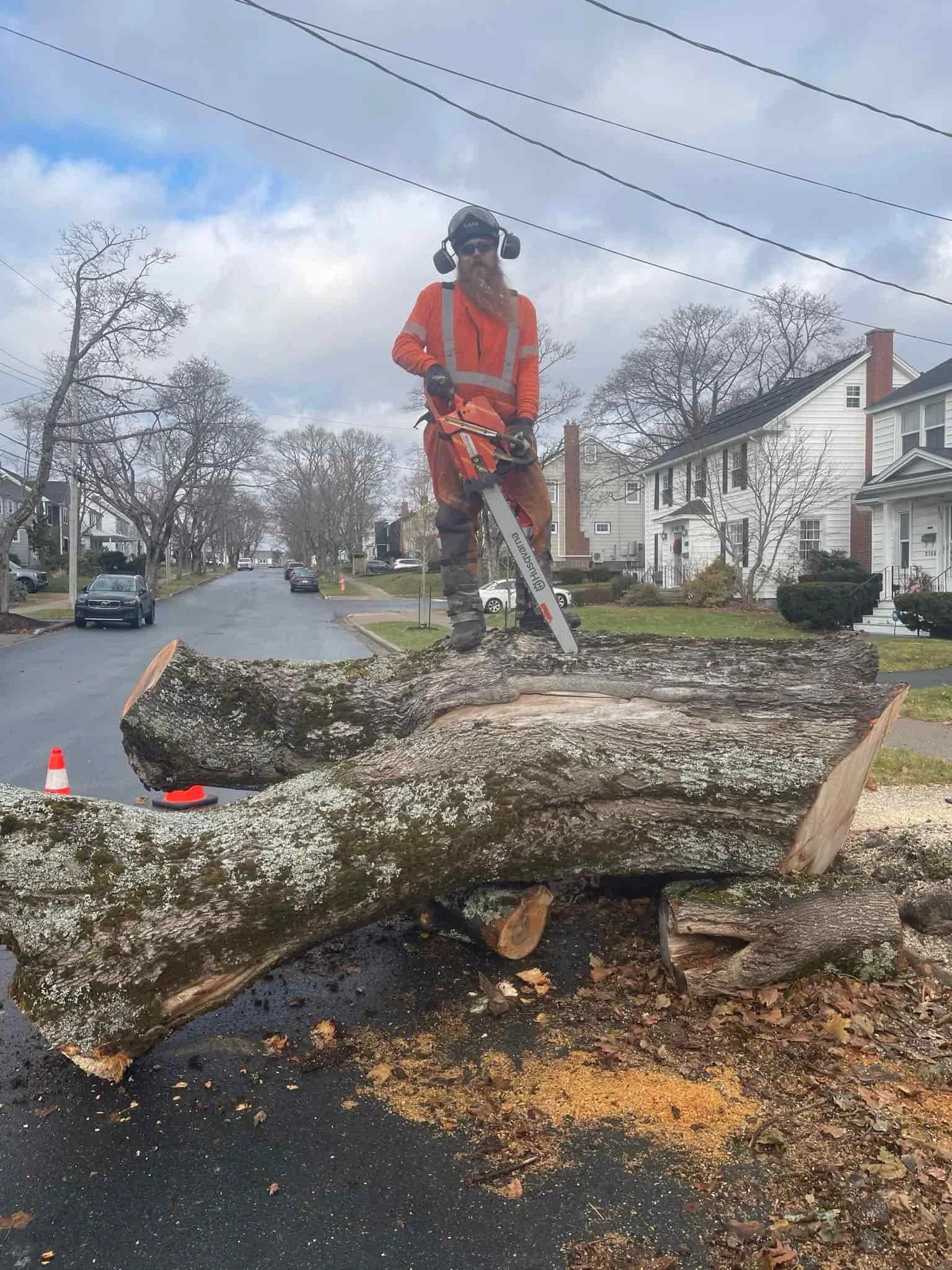 Expert tree risk assessment to protect property and safety