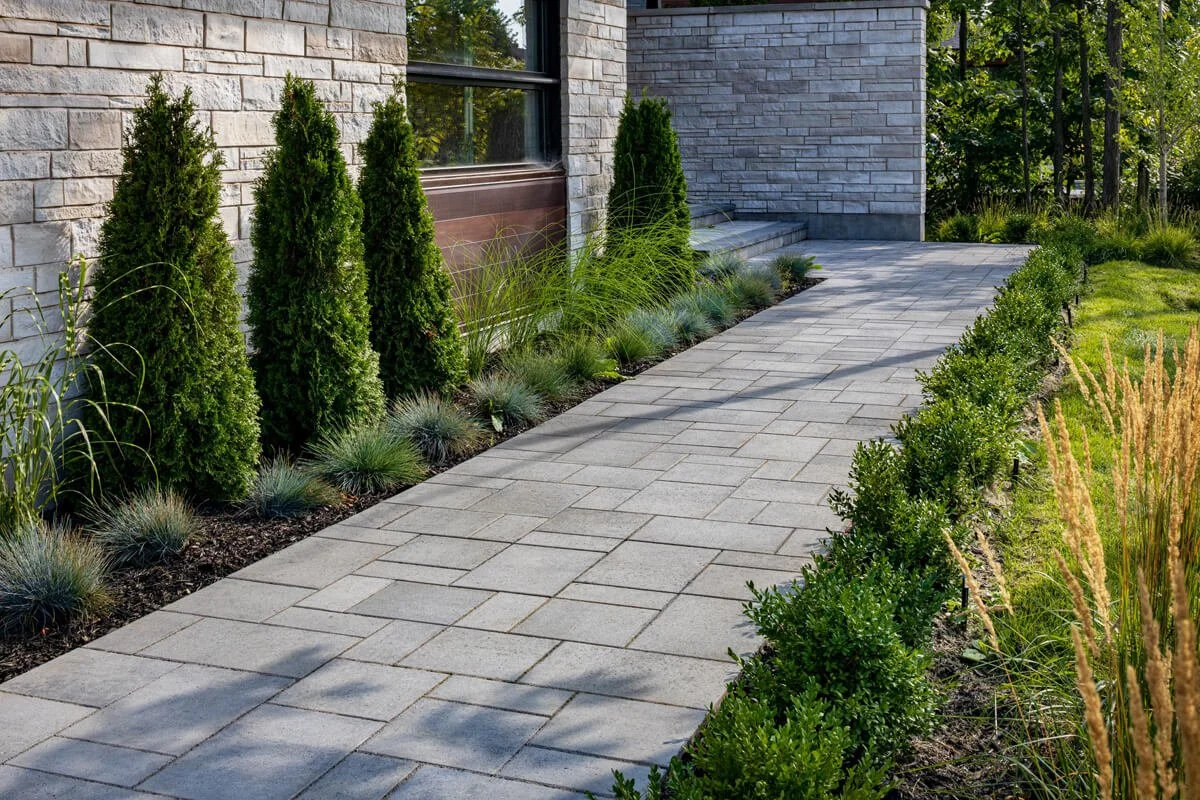 Modern walkway with stone tiles, lined with evergreen shrubs and ornamental grasses next to a brick wall.