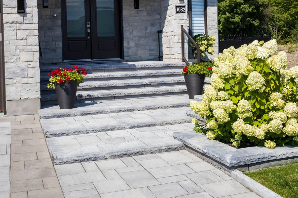Stone entrance steps with potted plants and hydrangeas.