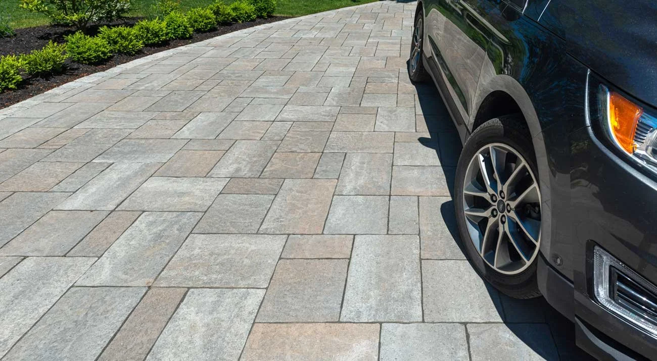 Paved driveway with a parked gray SUV and nearby green plants.