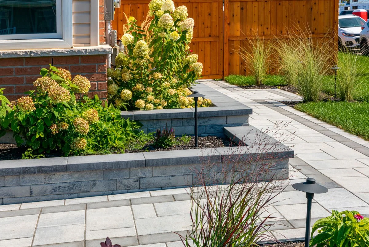 Front yard with hydrangeas, stone pathway, and wooden fence background.