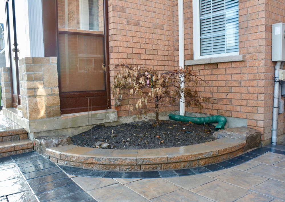 Small decorative tree planted in a raised brick garden bed next to a house with brown brick exterior and a window with white shutters.