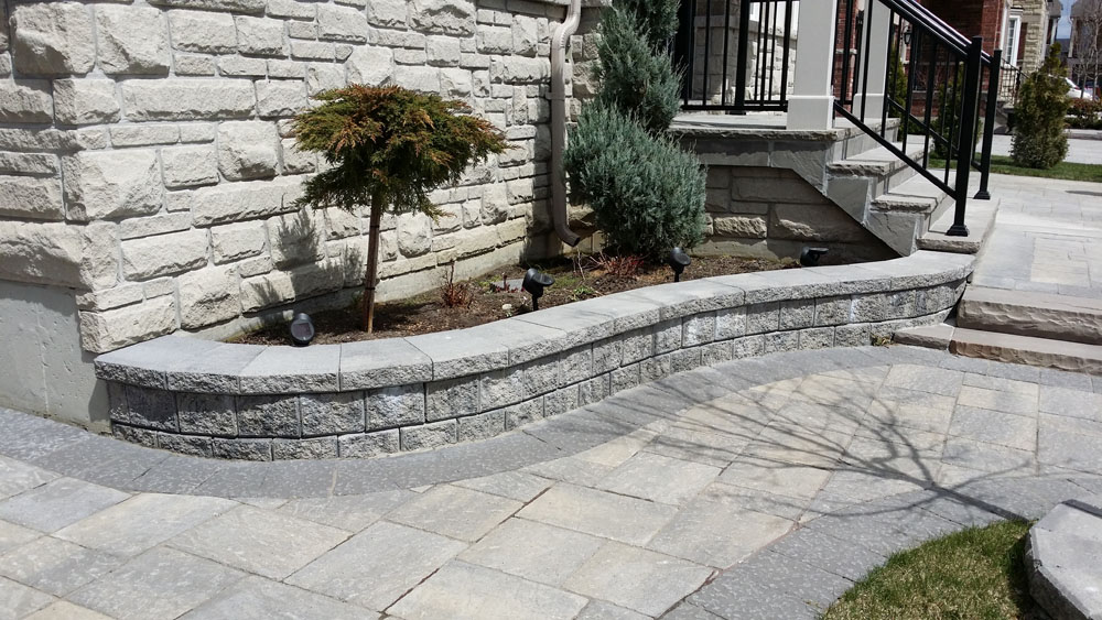 Stone retaining wall with small trees and shrubs, adjacent to a paved walkway and steps of a building.