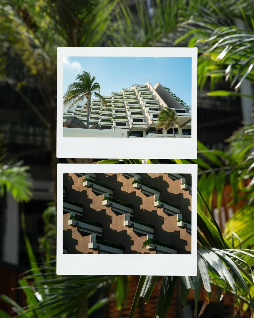 Textures and sights from Canc&uacute;n, taken back in Feb. 🏝️I&rsquo;m trying to be better about posting with some consistency as I work to push myself out of my comfort zone. I am not a beach guy. I&rsquo;m not really a landscape photographer. Taki