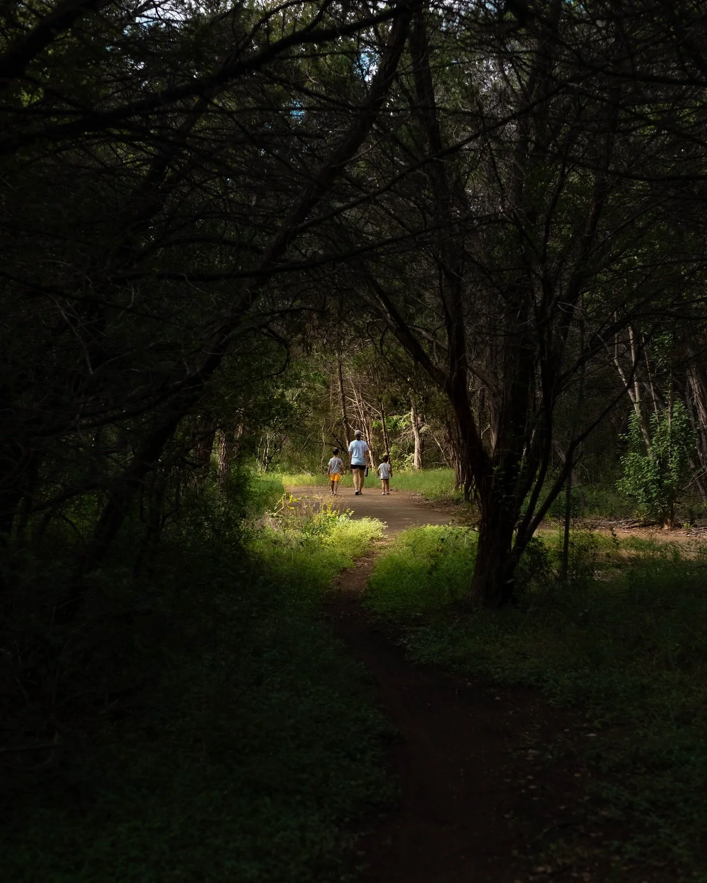 Making stuff when you&rsquo;re stressed and tired is hard. Sometimes the universe conspires against you. Today I got out a little later than I wanted and lost the morning light. The first hour of shooting decided to just not save to my SD card. My fi