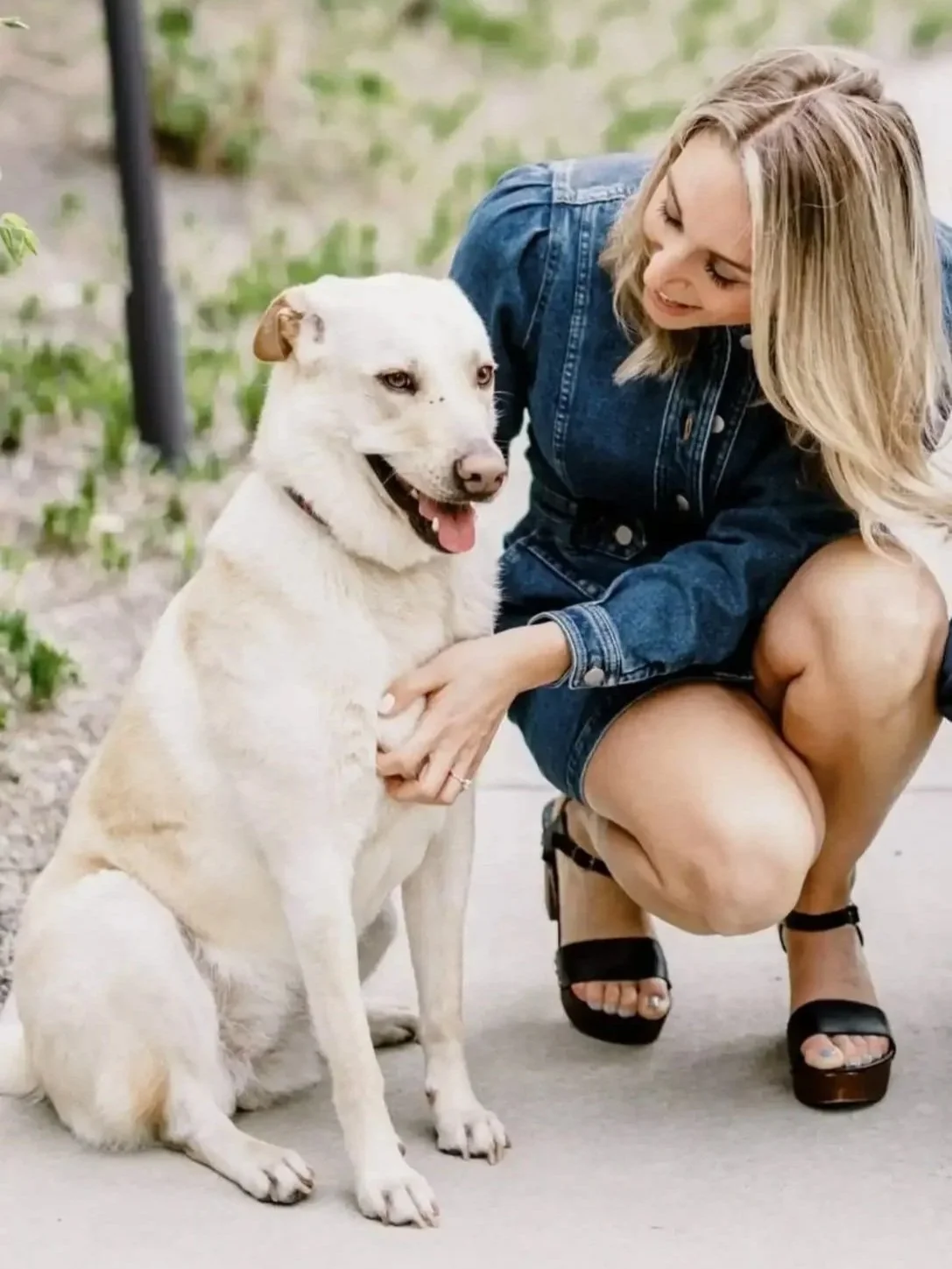 Jaclyn Spiegel, LCSW with her dog, Pippa in Center City, Philadelphia, PA.