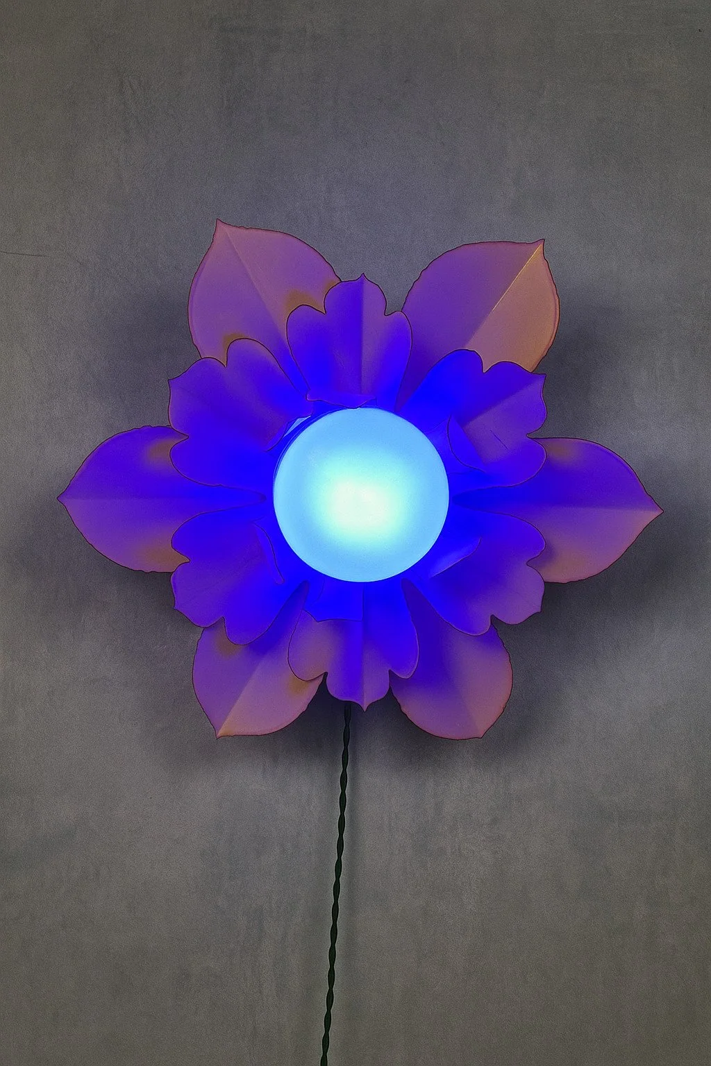 568599E6-B868-4371-8240-65960BB3006F (1).jpg