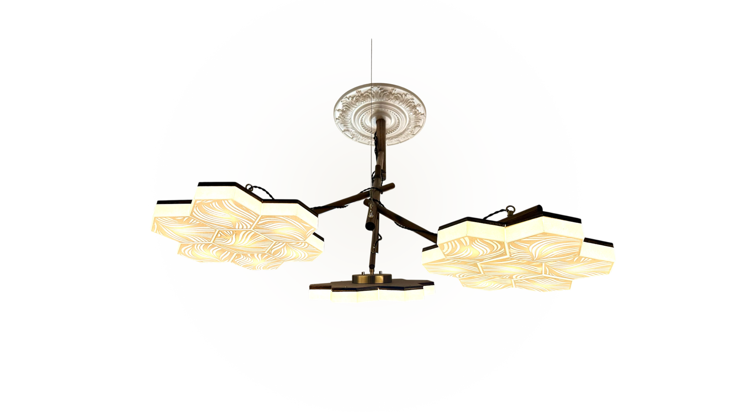 Photodendron