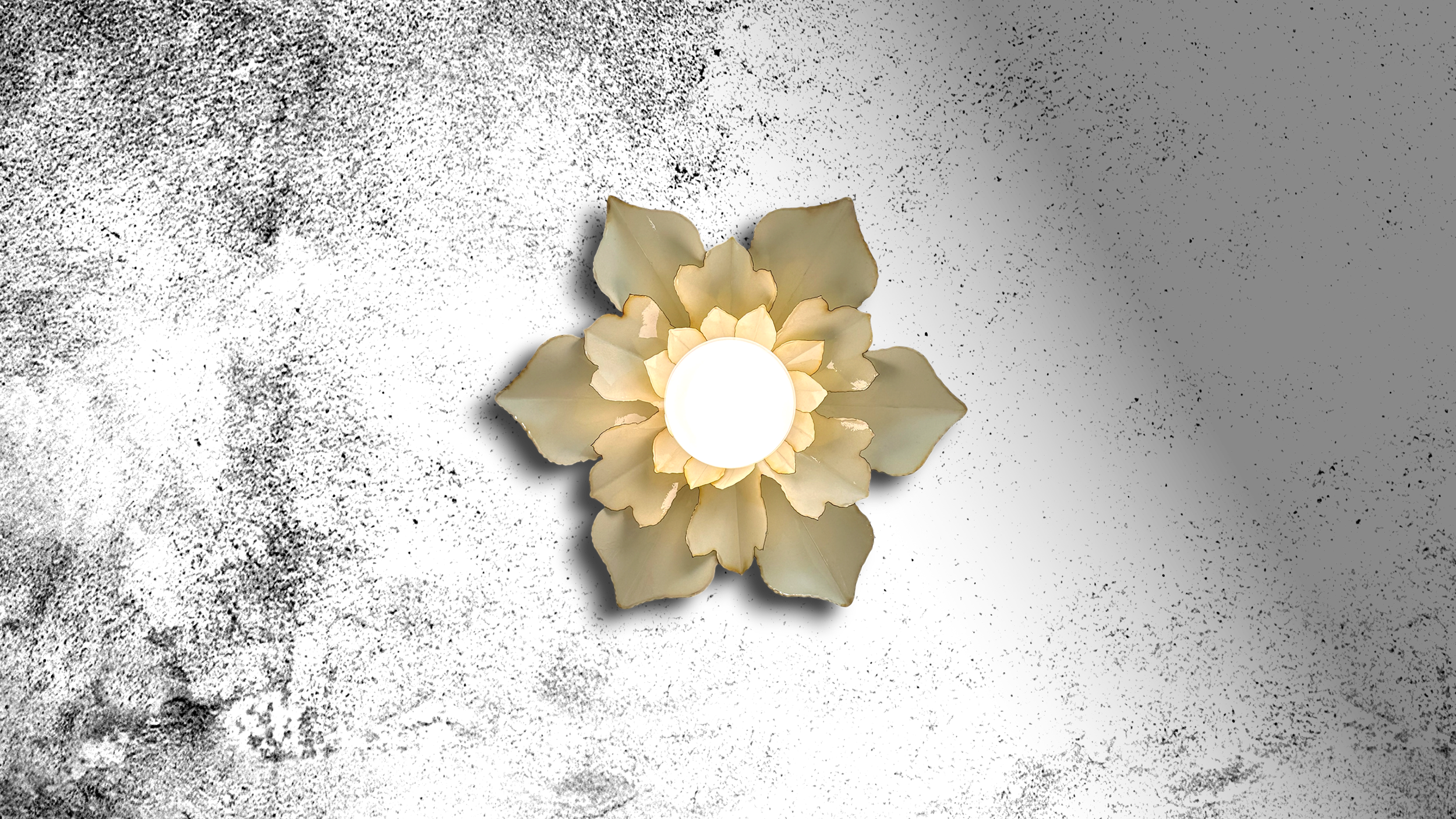  Explore Flora 