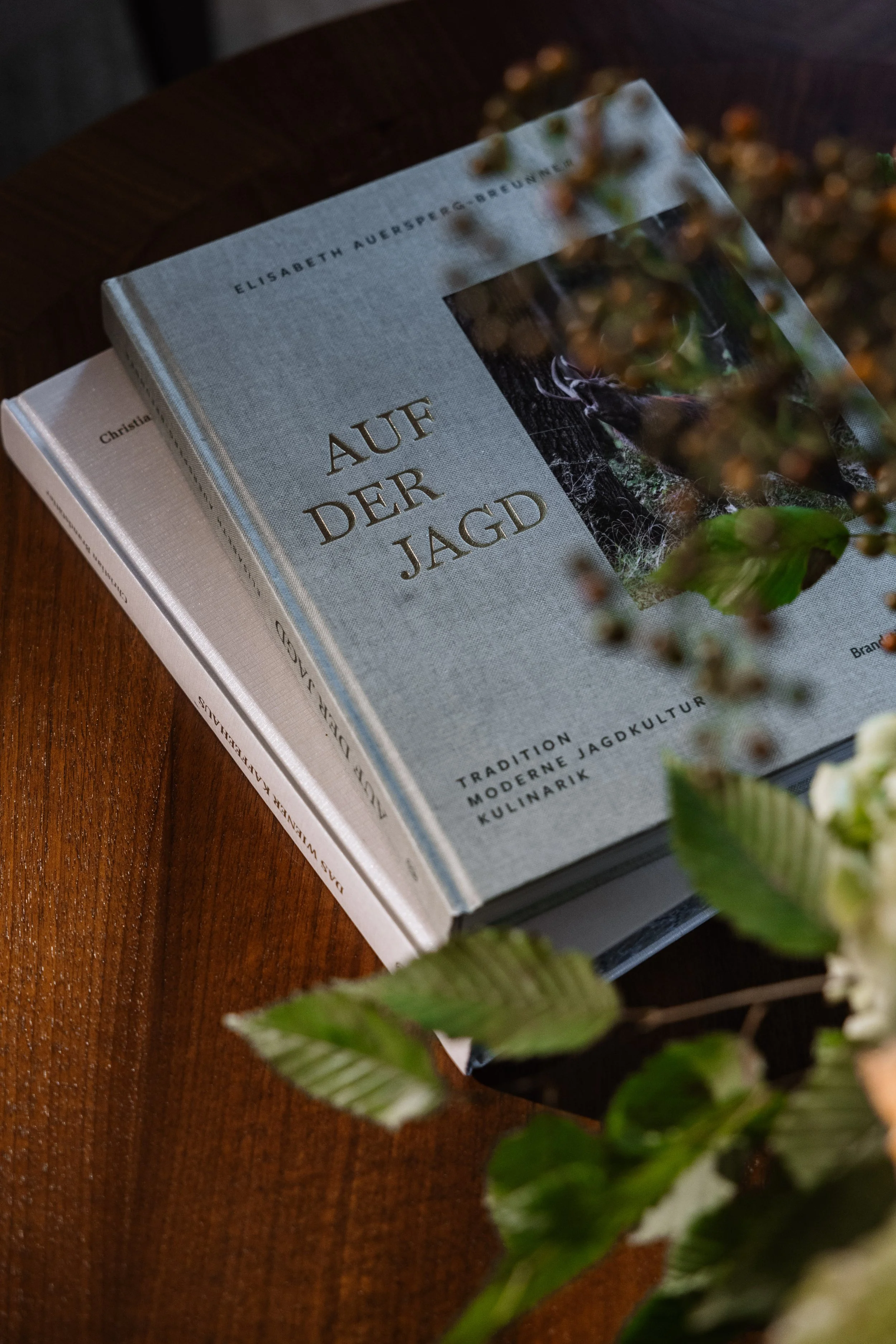 Close-up of two books on a wooden surface, with a blurred leafy plant in foreground.
