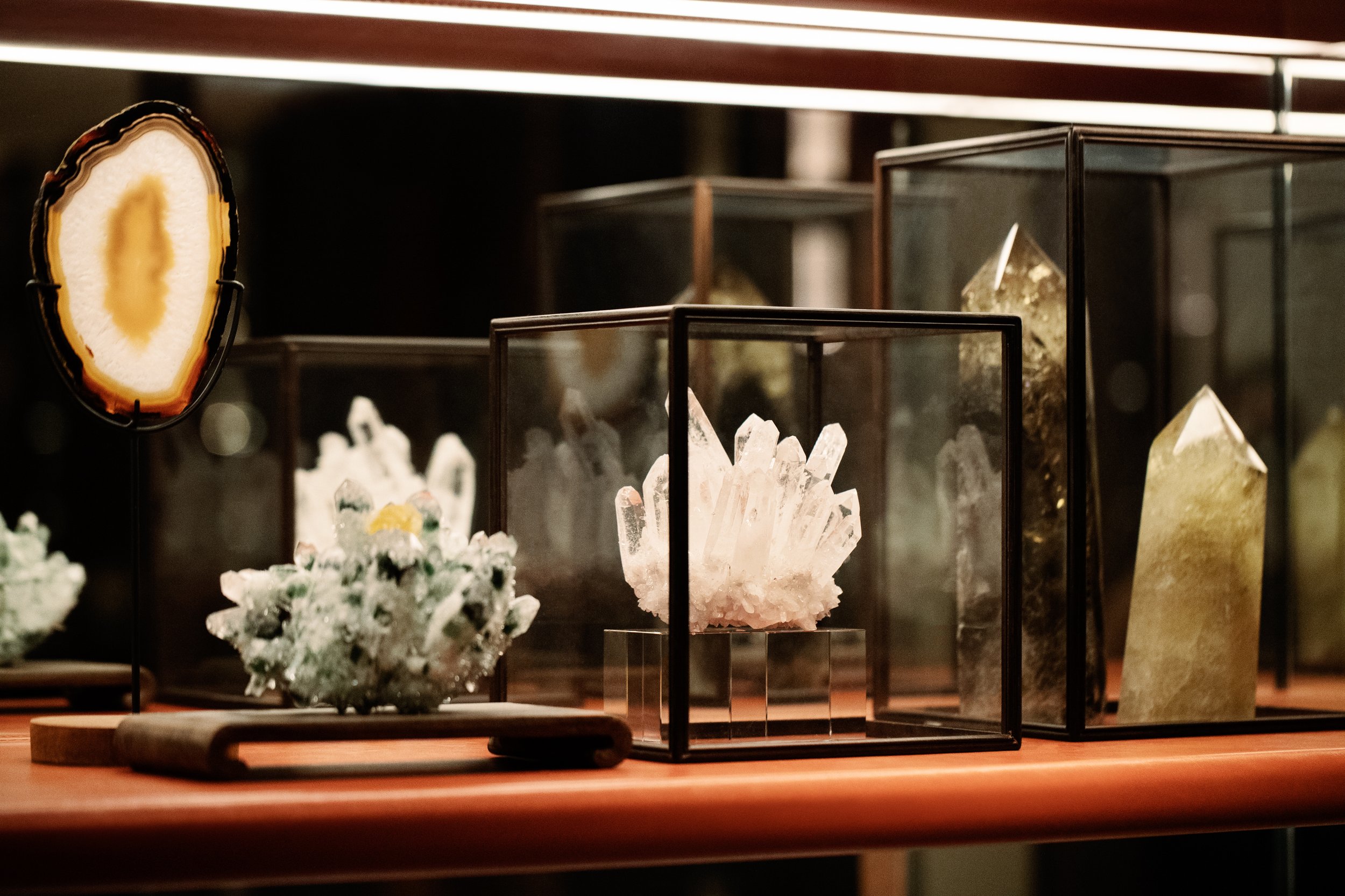2021_RosewoodHK_DianeNittke_WhatTheFox-0835.jpg