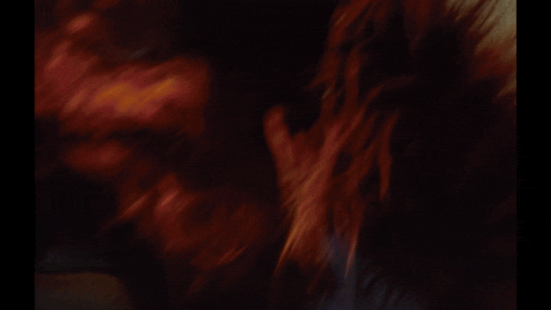 Blurred image with reddish-orange colors and dark background, possibly showing hair or flames.