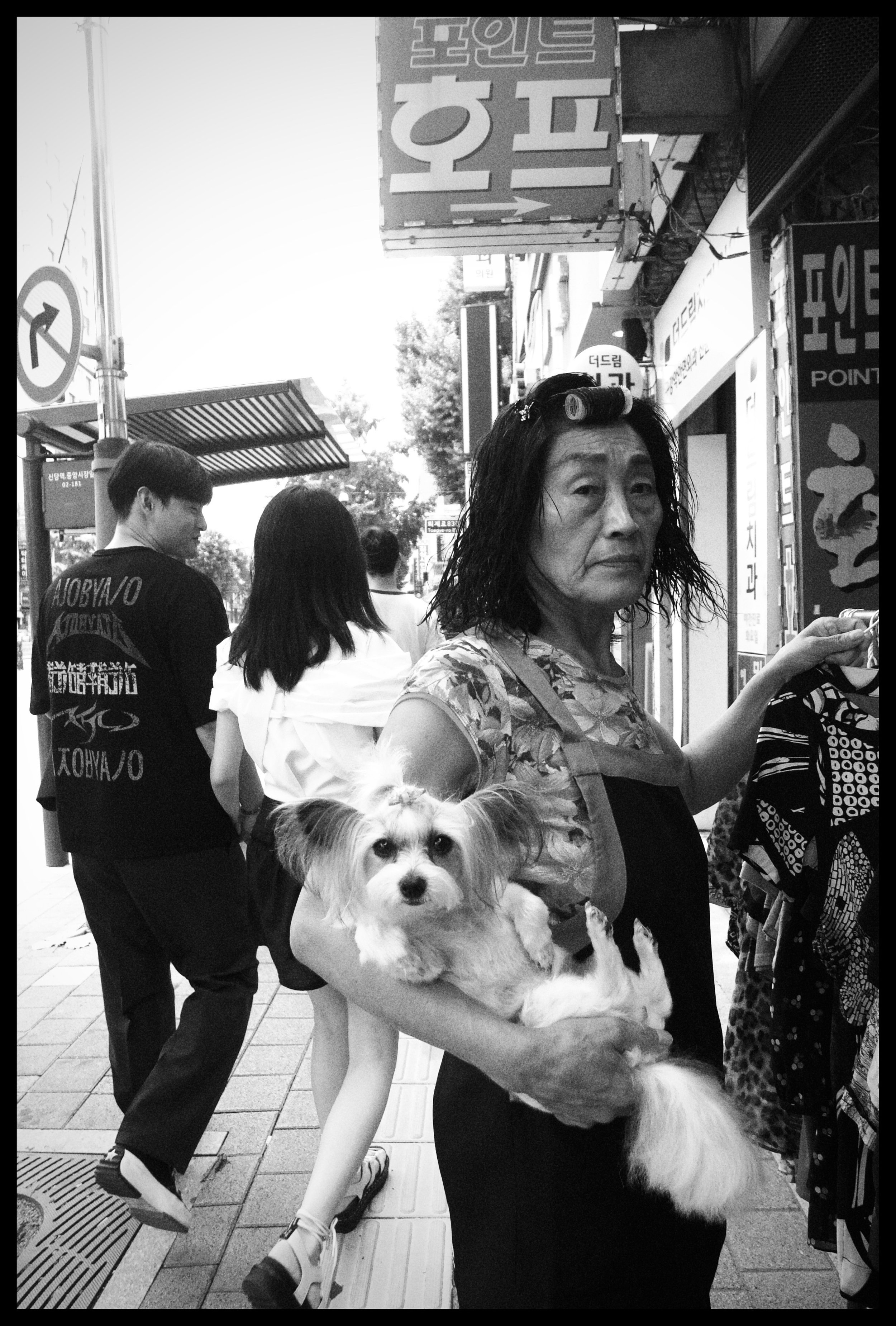 A woman holding a small dog in her arms on a busy city street with pedestrians, storefronts, and signs in Korean in the background.