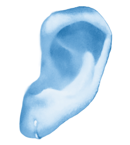 A close-up illustration of a human ear in light blue tones.