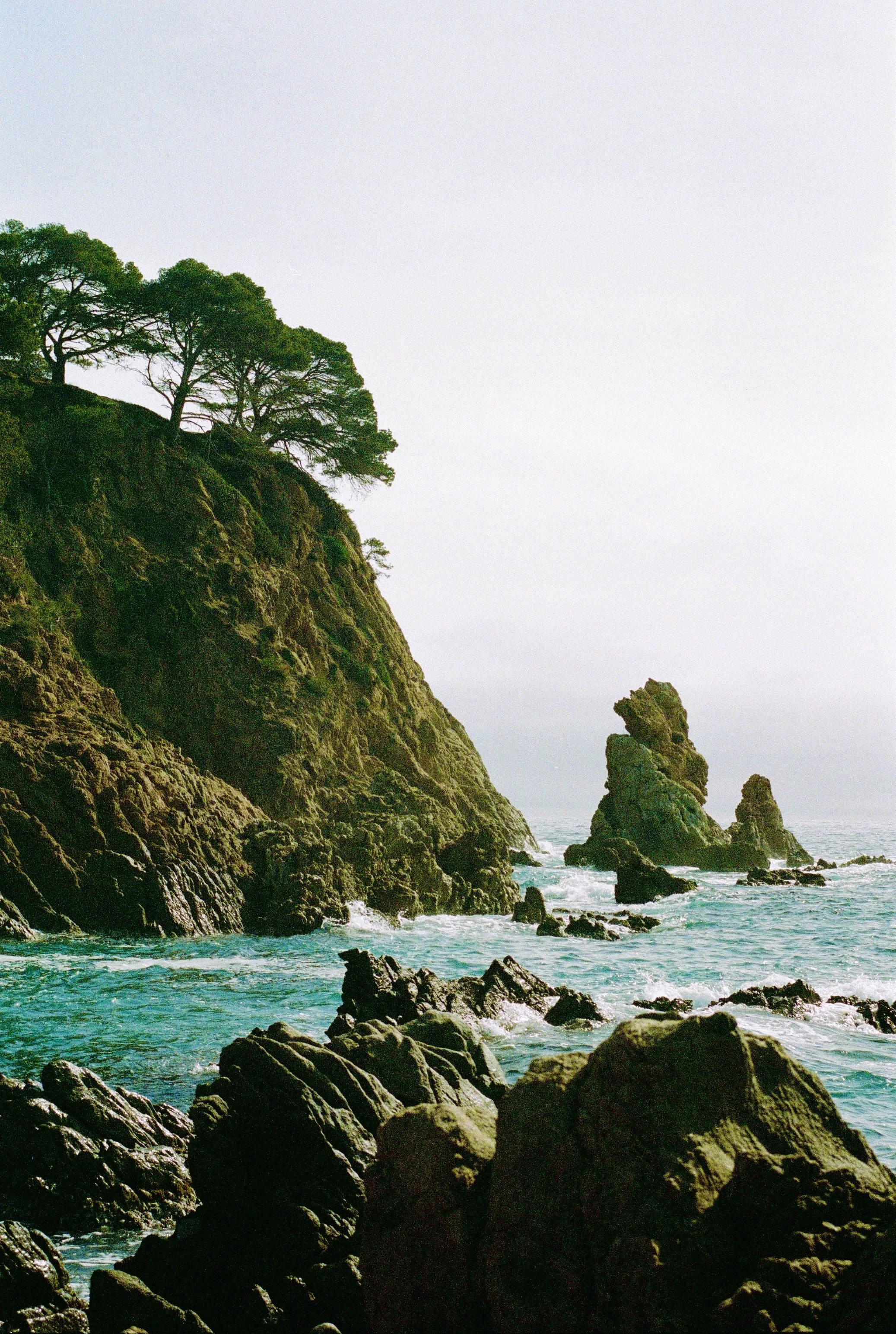 Cliffside with trees overlooking rocky shoreline and ocean waves.