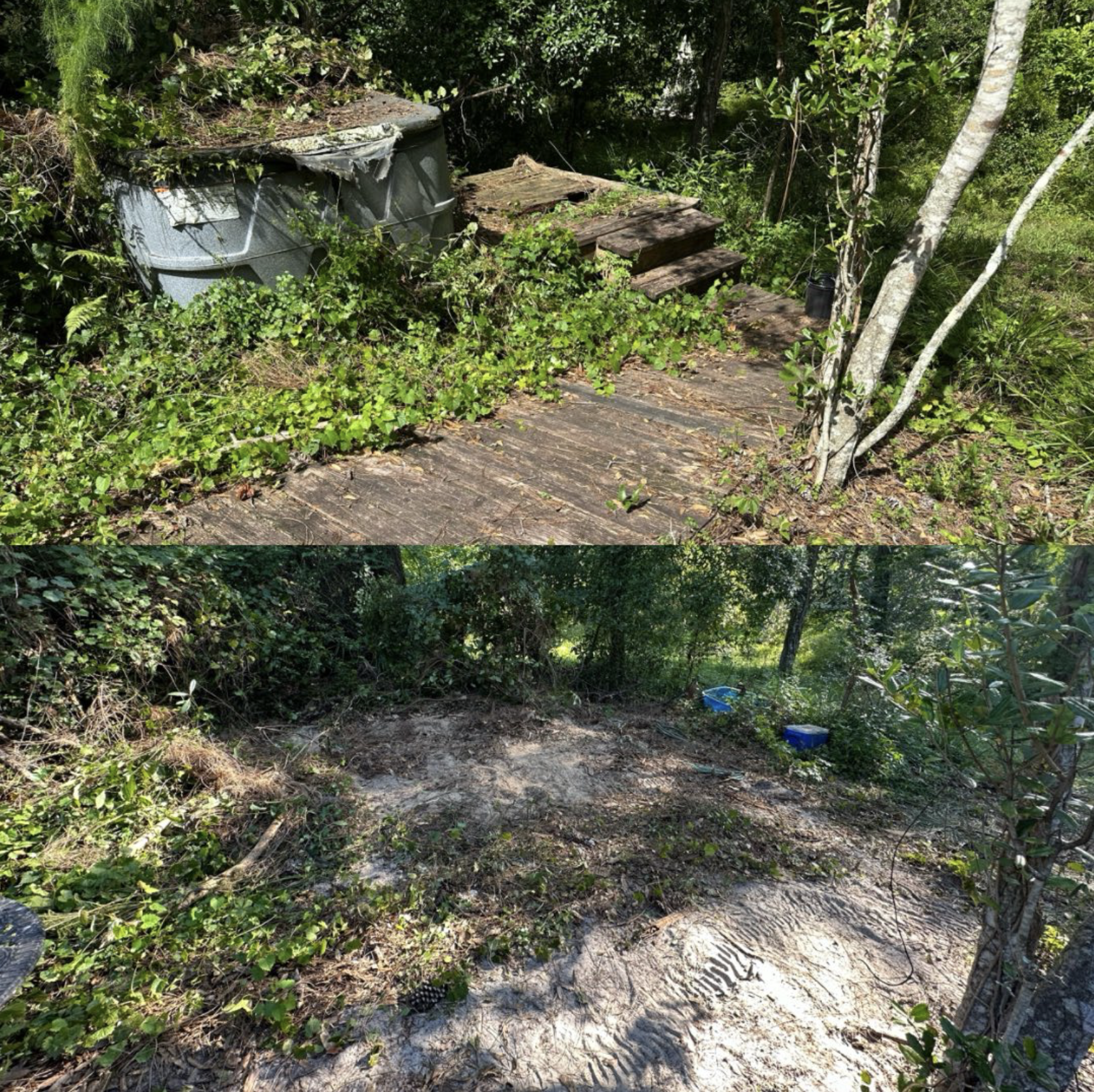 Screenshot 2025-08-17 at 10.07.08 AM.png