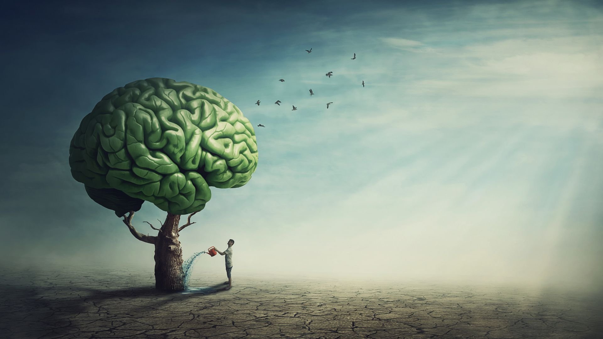 Spring Cleaning for Young Minds: Letting Go of a Fixed Mindset to Grow