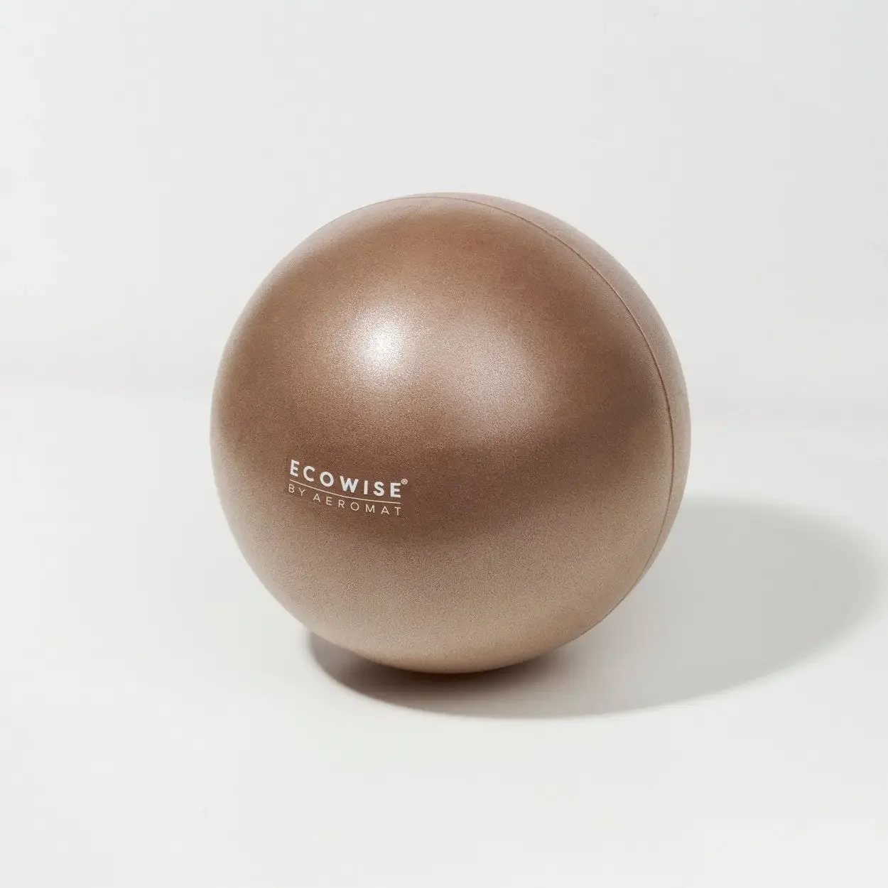 Ecowise Pilates Ball