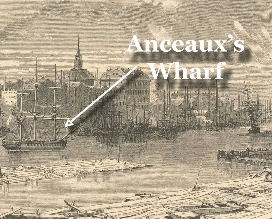 History,  Archaeology & Pirate Quest