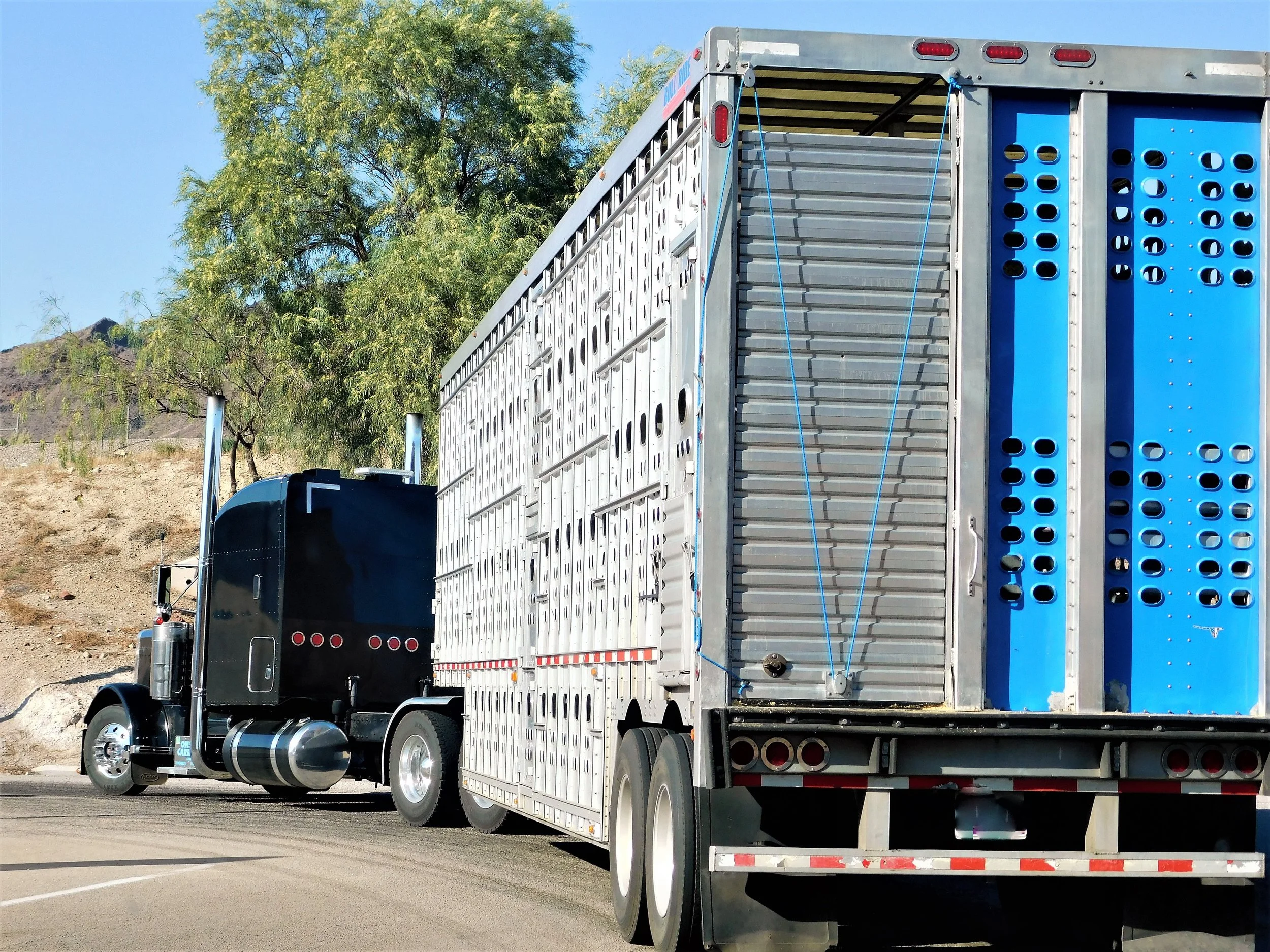 A semi-truck parked on the side of a road with a blue sky, trees, and a hillside in the background. The truck has a black cab and a large silver and blue trailer with ventilation holes.
