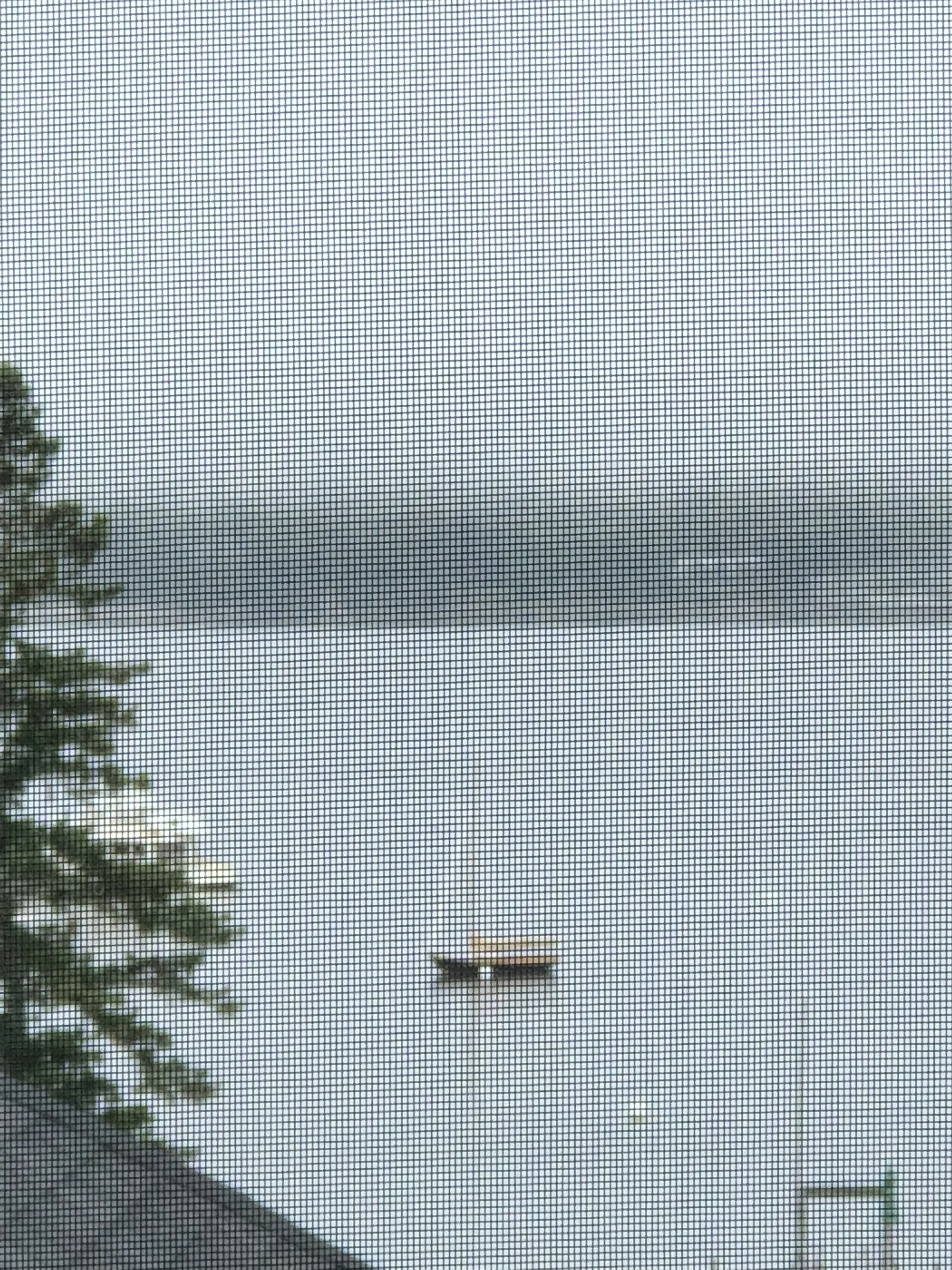 IMG_1362.jpeg