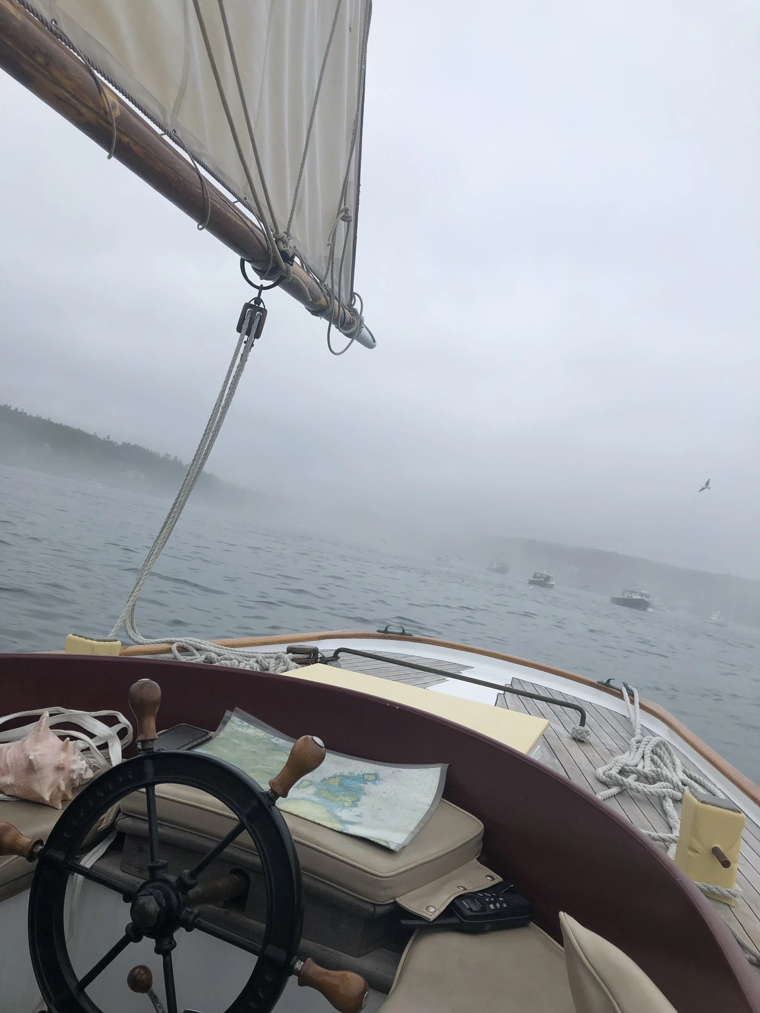 IMG_1100.jpeg
